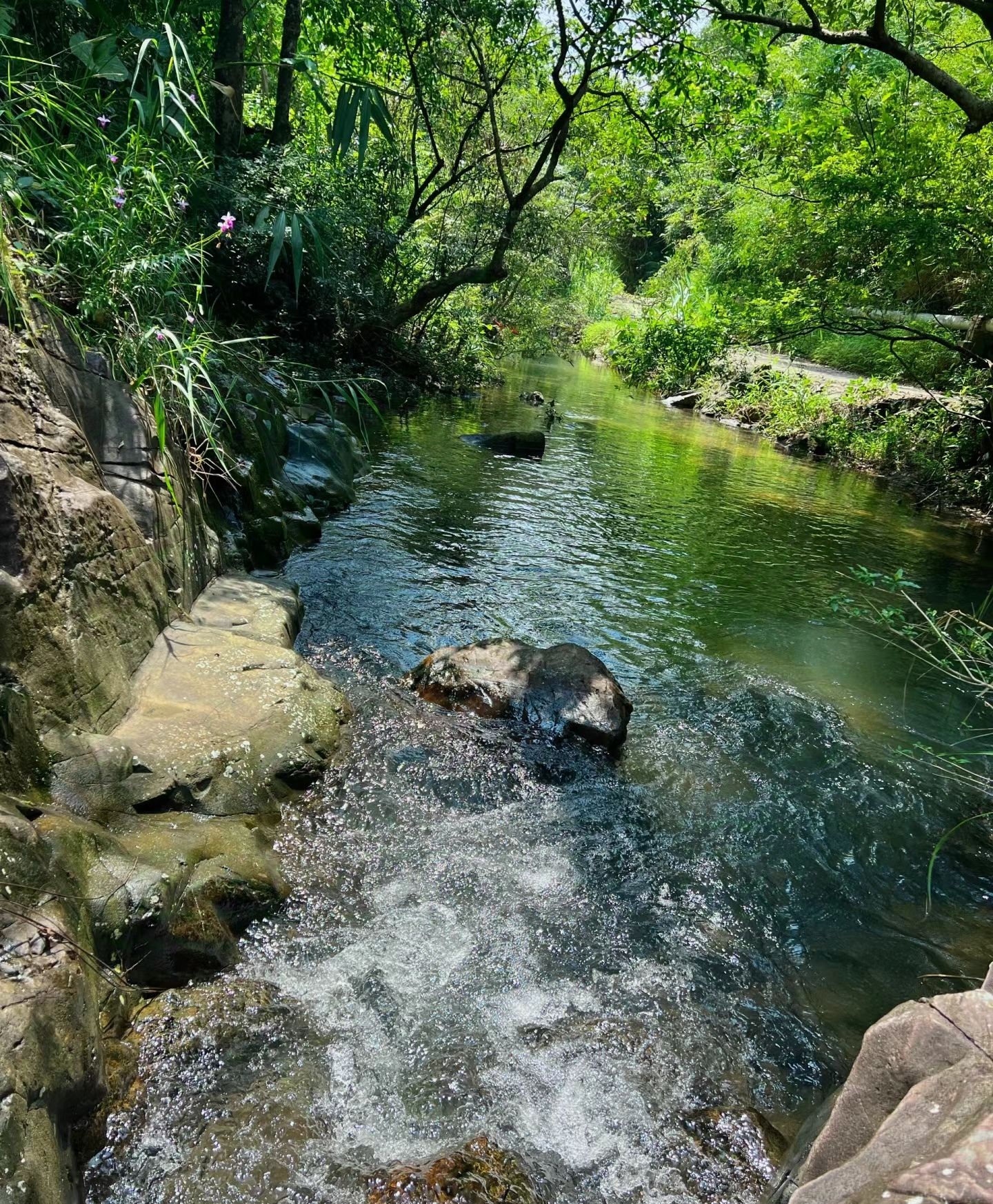 黄沙水瀑布旅行图片 2