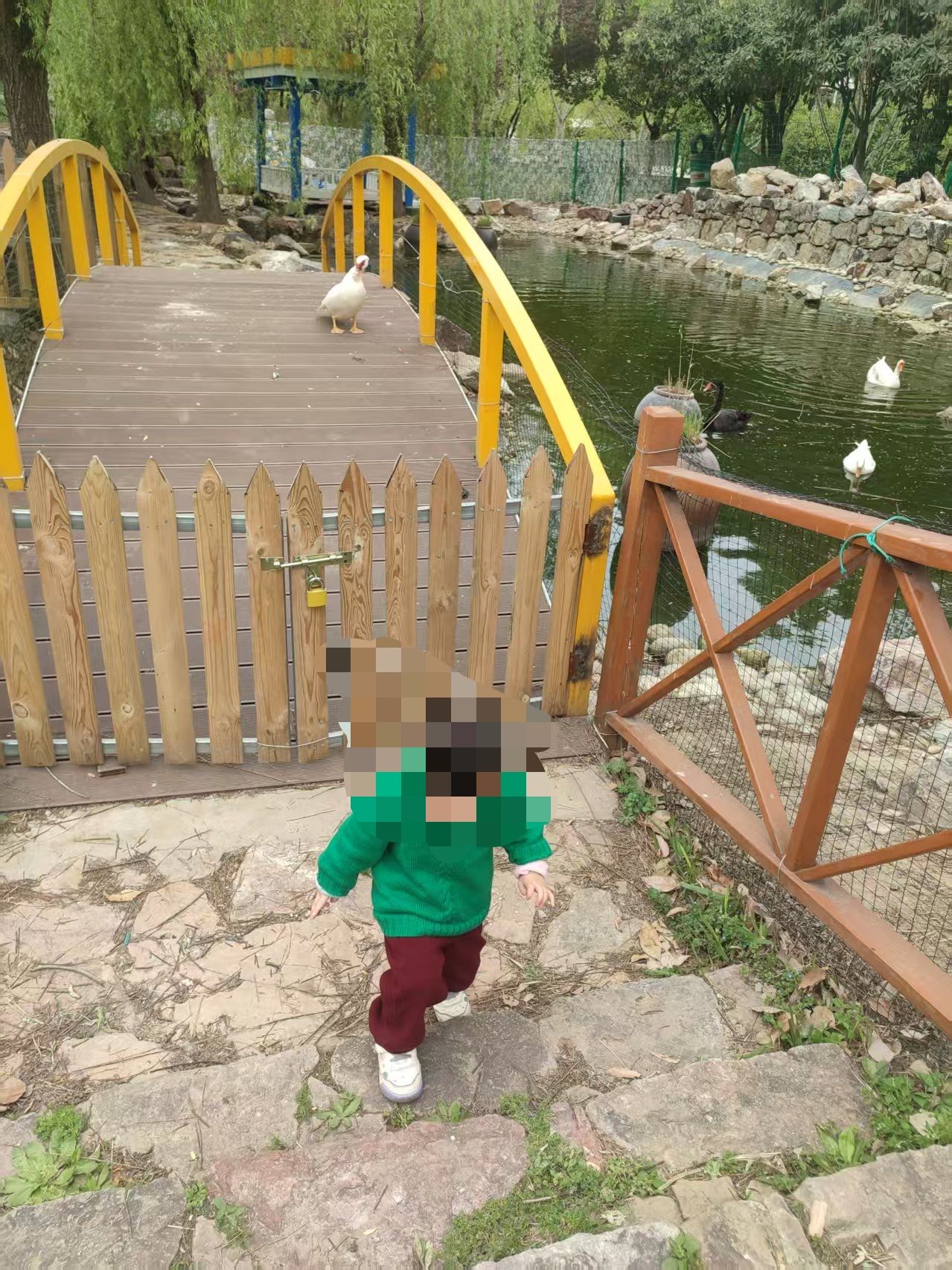 武汉百兽乐园旅行图片 3