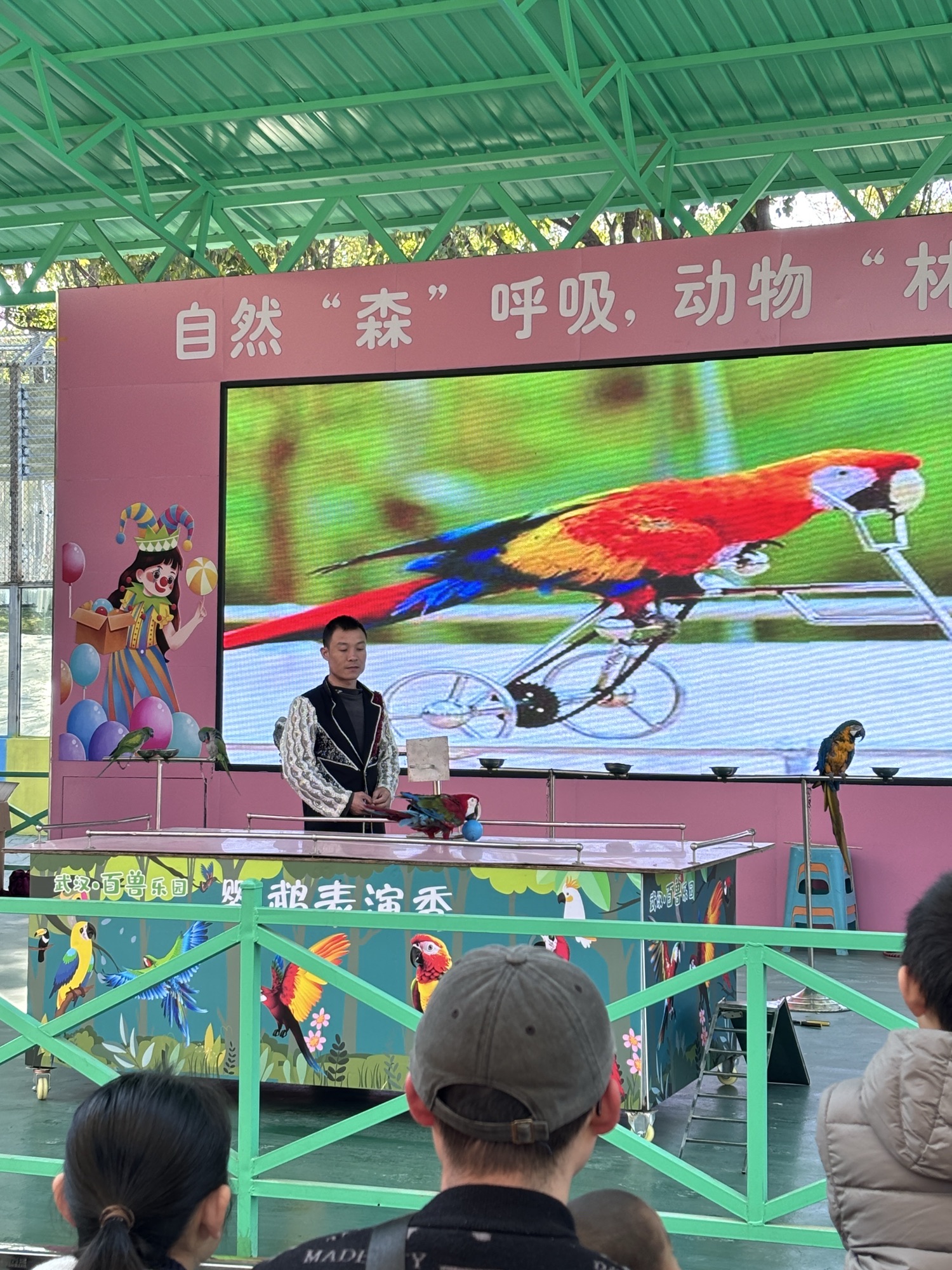 武汉百兽乐园旅行图片 3
