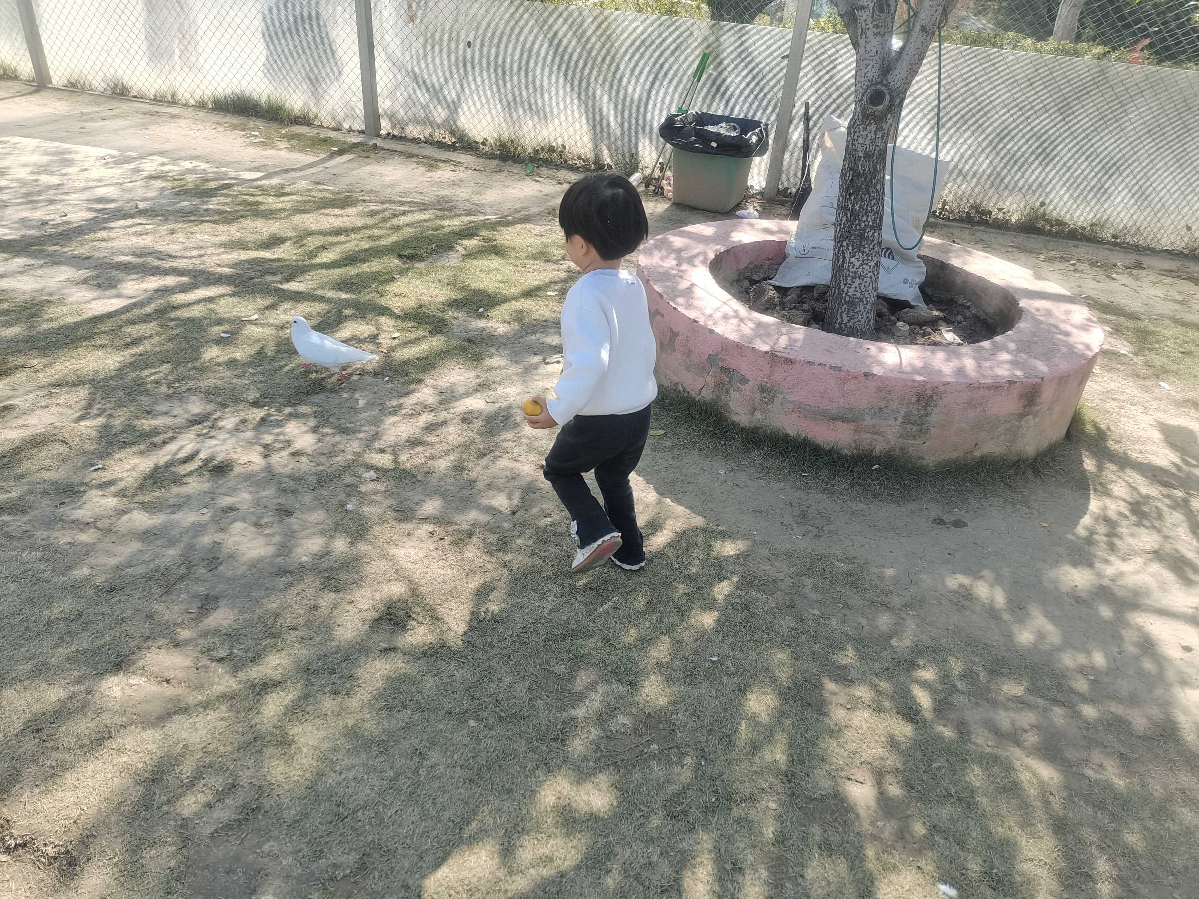 武汉百兽乐园旅行图片 3
