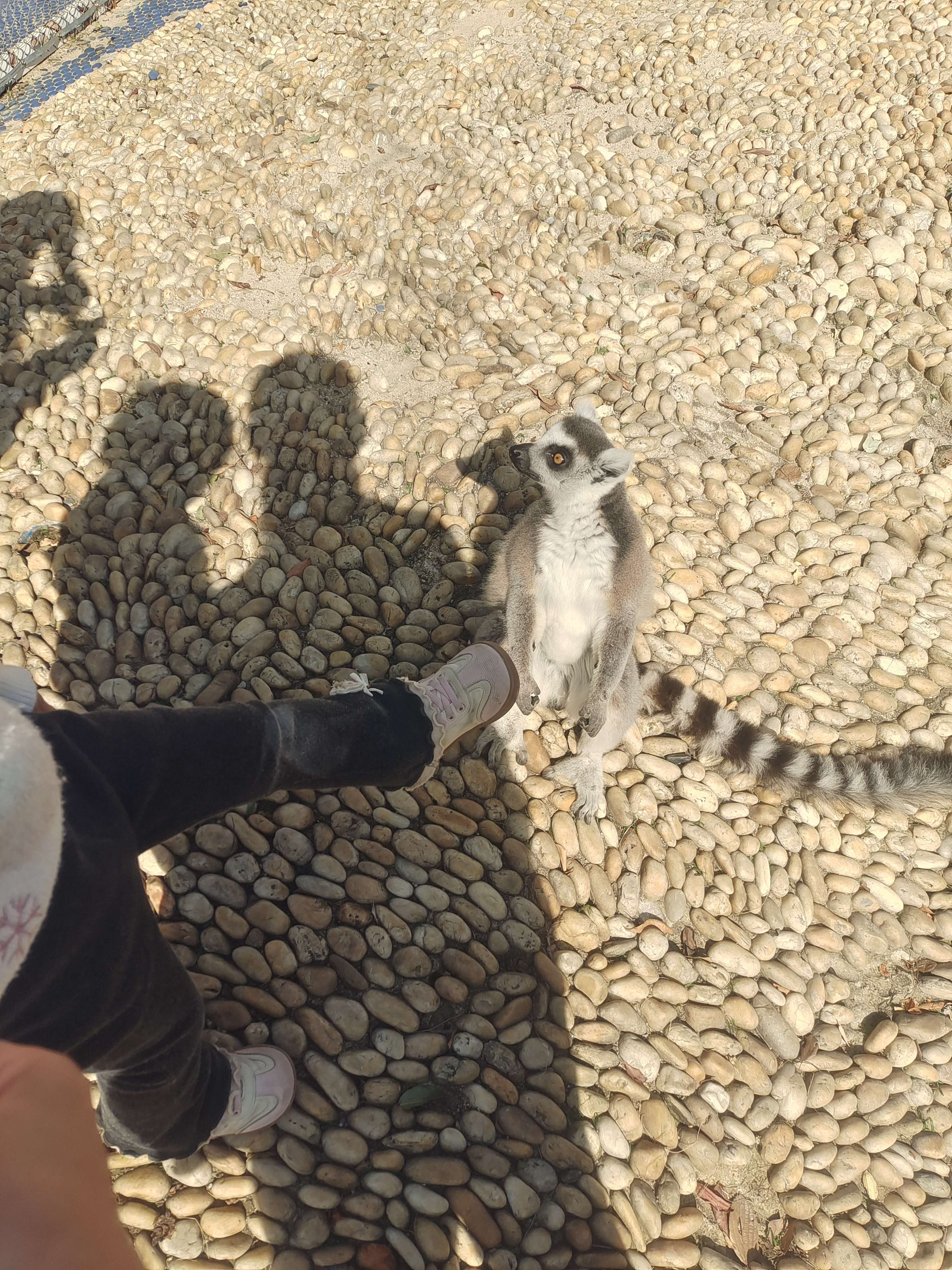 武汉百兽乐园旅行图片 1