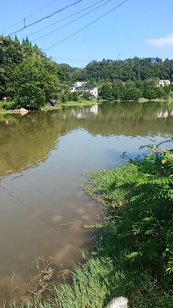 望江滩湿地旅行图片 3