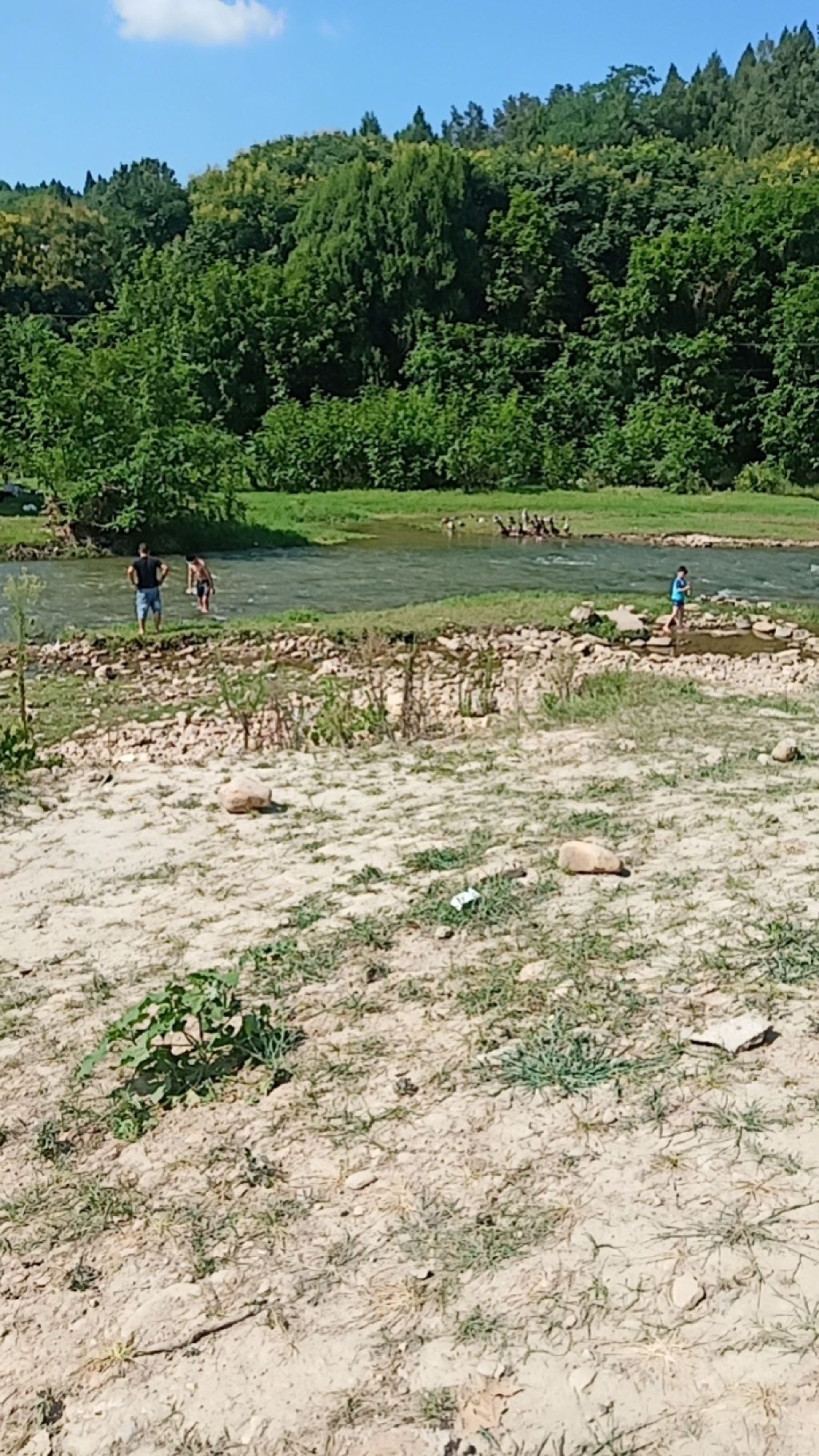 望江滩湿地旅行图片 1