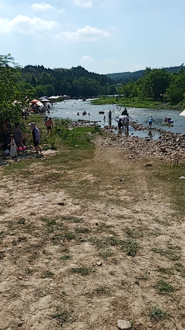 望江滩湿地旅行图片 2