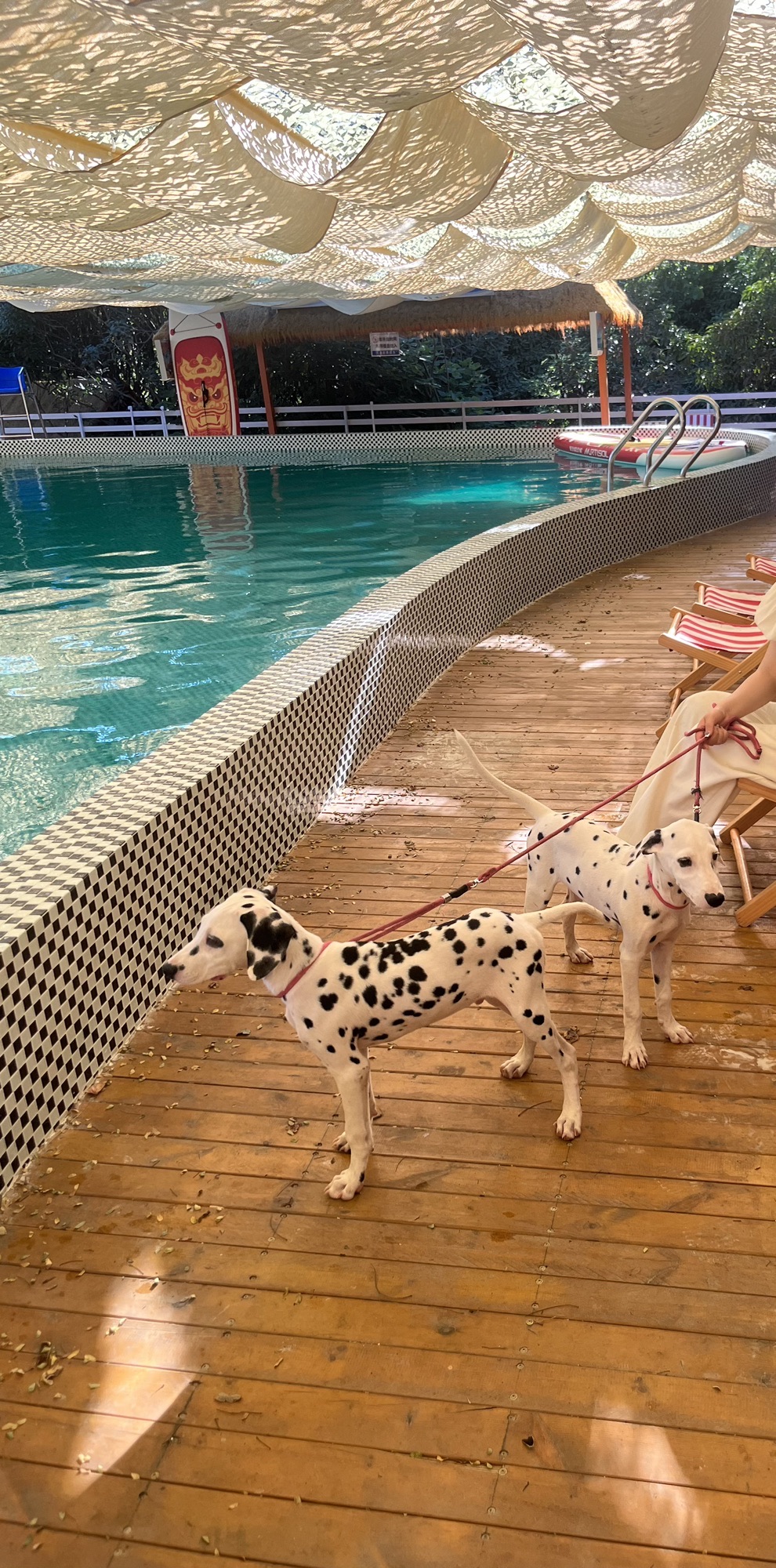 普吉岛音乐露营地