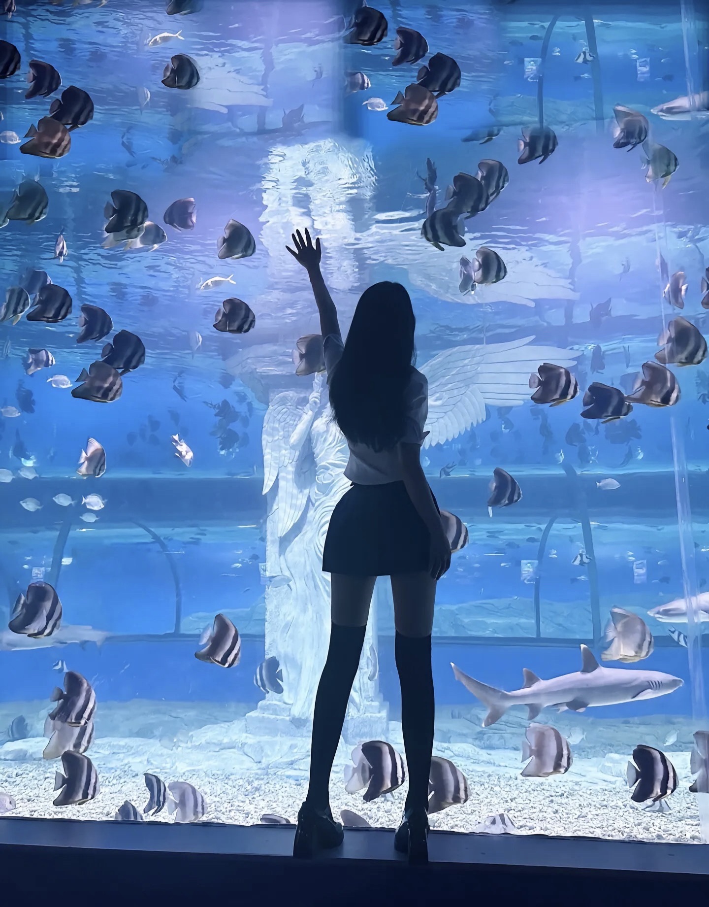 泸州海洋世界旅行图片 3