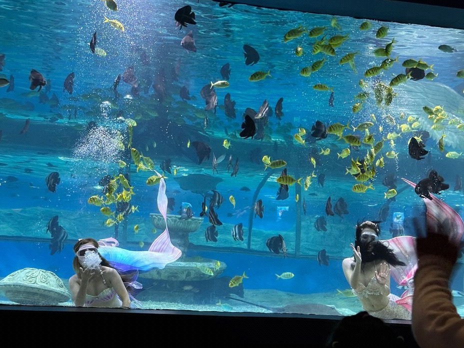 泸州海洋世界旅行图片 3