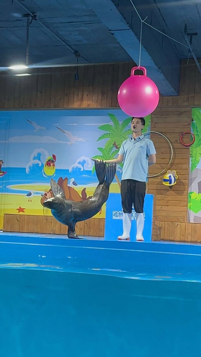泸州海洋世界旅行图片 2