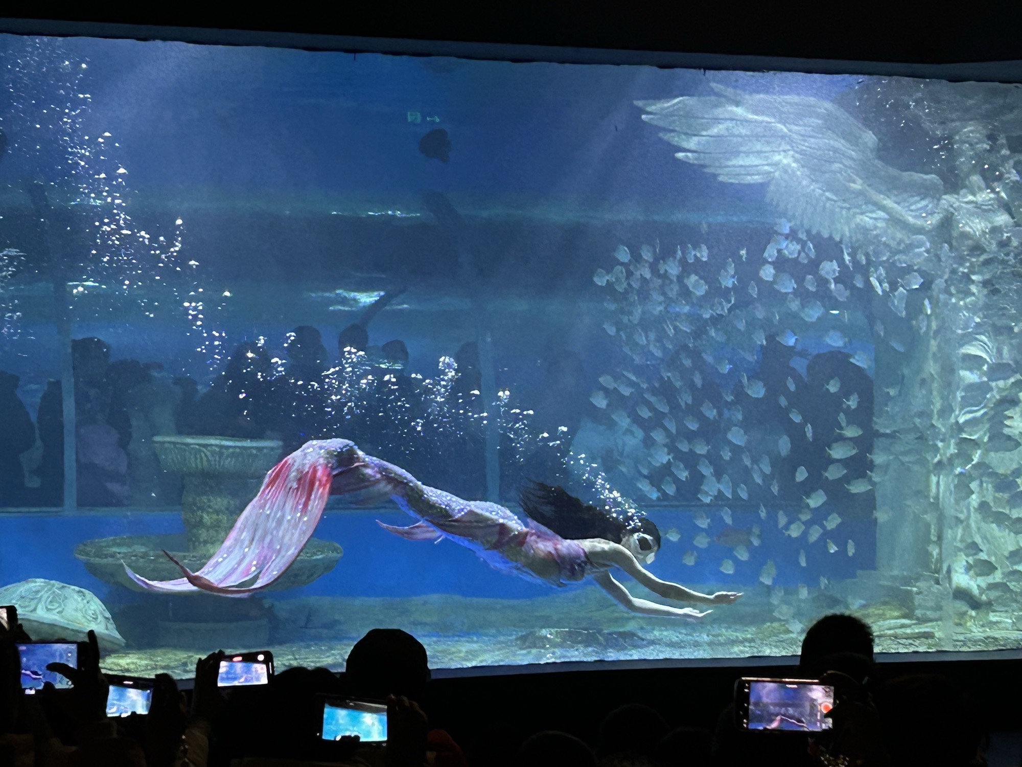泸州海洋世界旅行图片 2