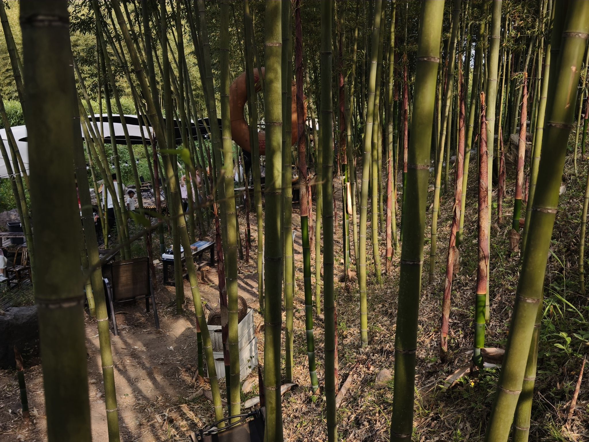 莫干山沐野营地