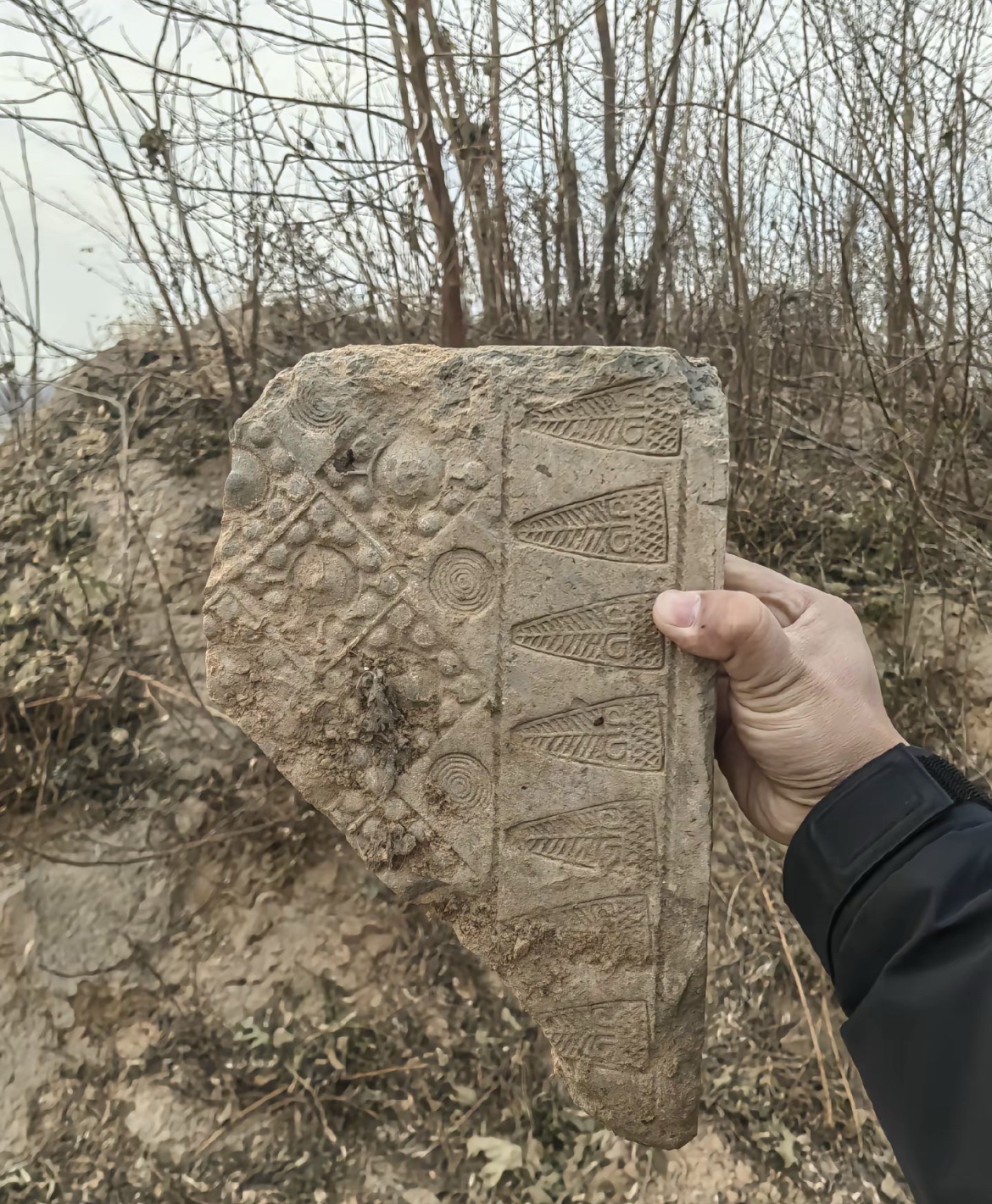 张龙圪旦汉代墓群旅行图片 3