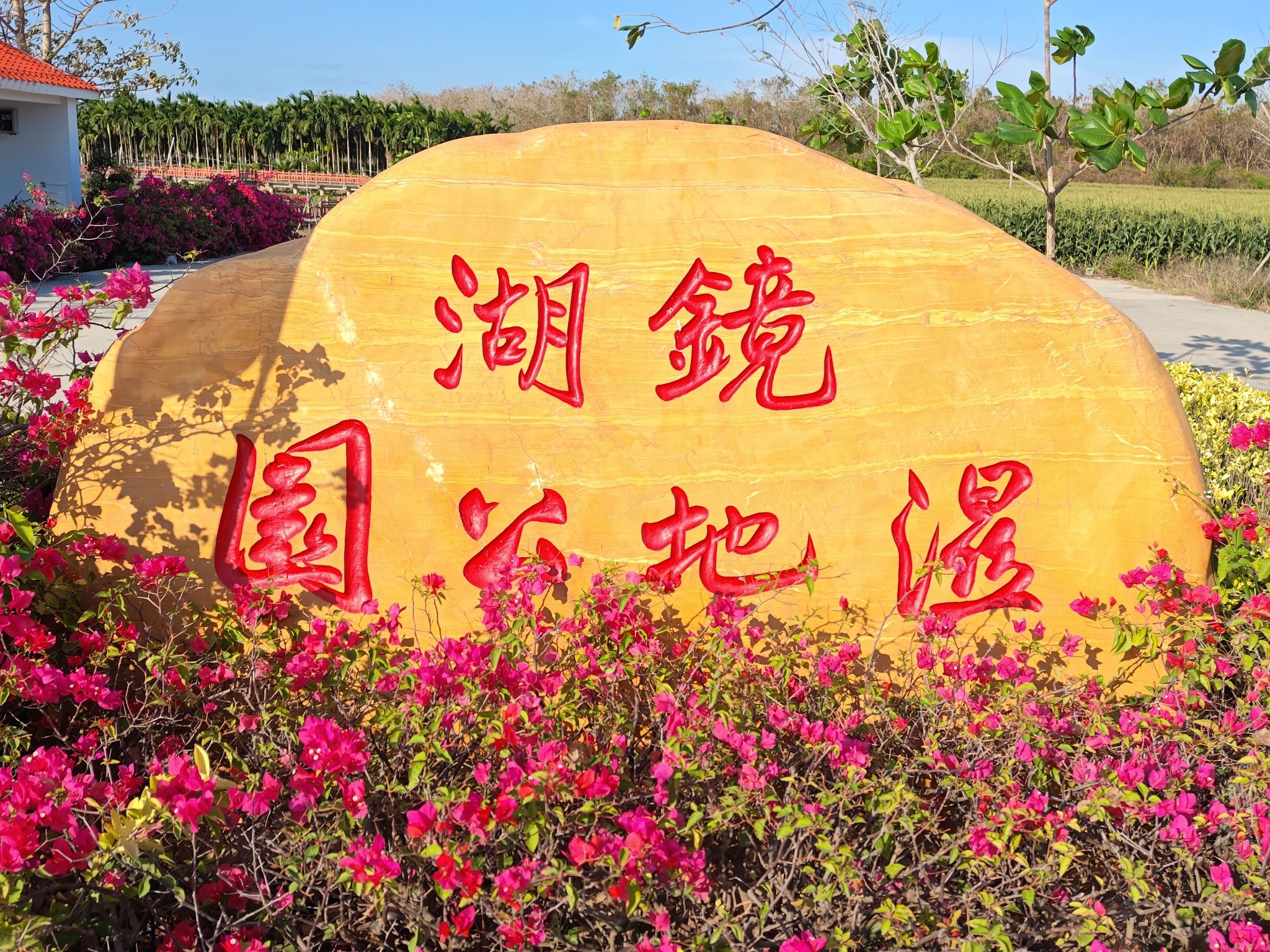 镜湖湿地公园