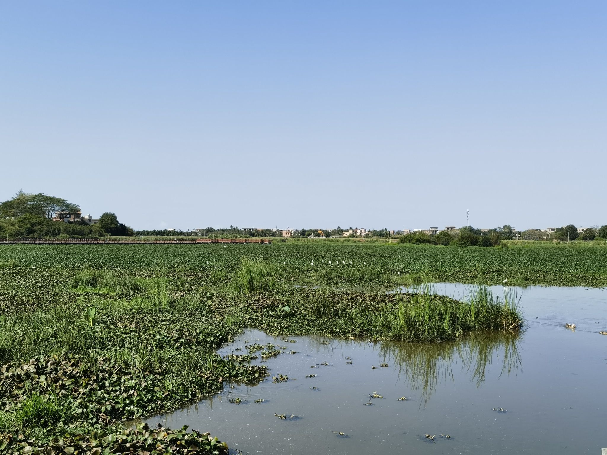 镜湖湿地公园