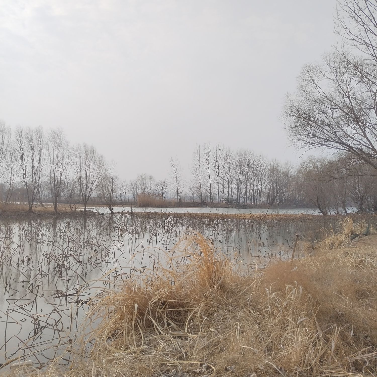 凤台凤凰湖省级湿地公园旅行图片 3