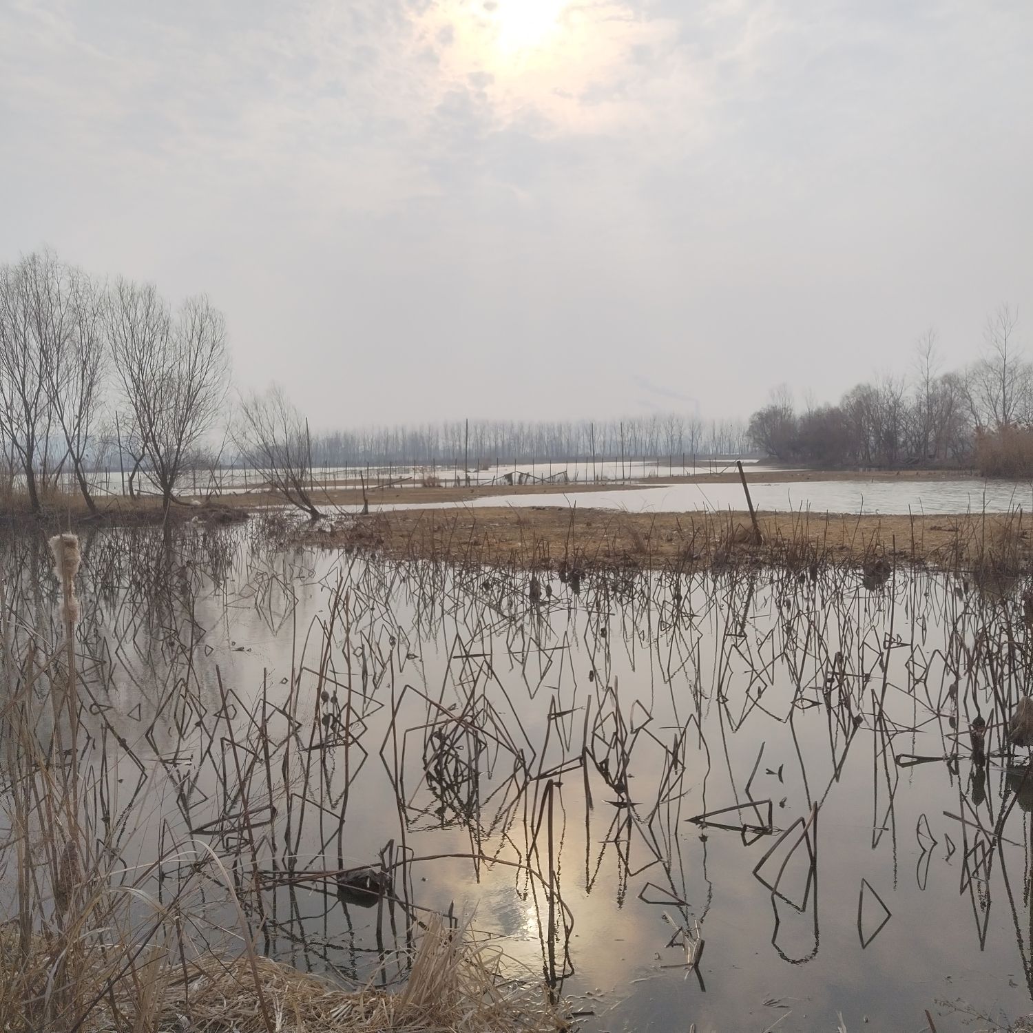凤台凤凰湖省级湿地公园旅行图片 1