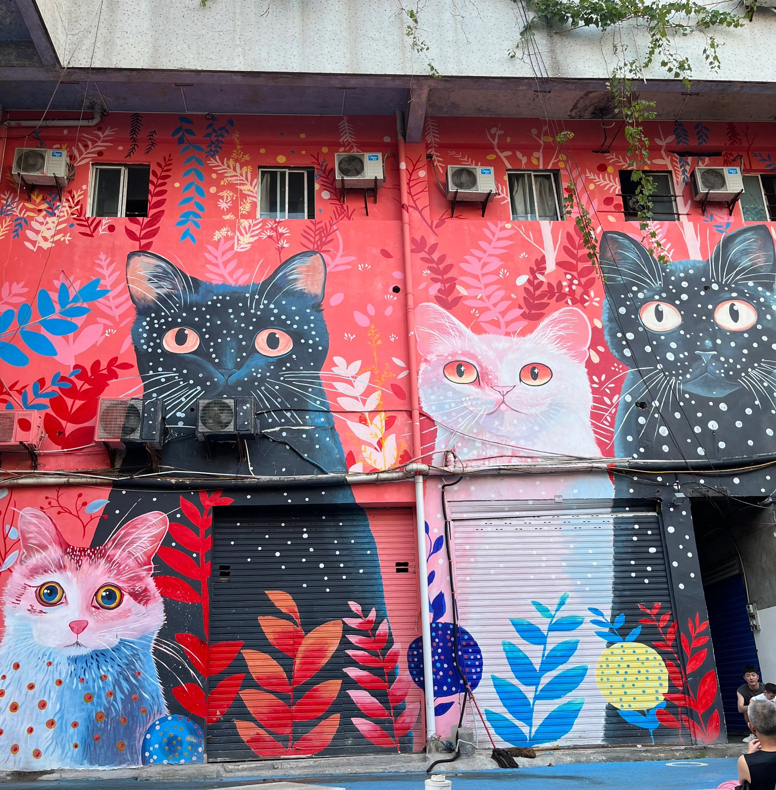 自贡涂鸦街猫猫巷旅行图片 1