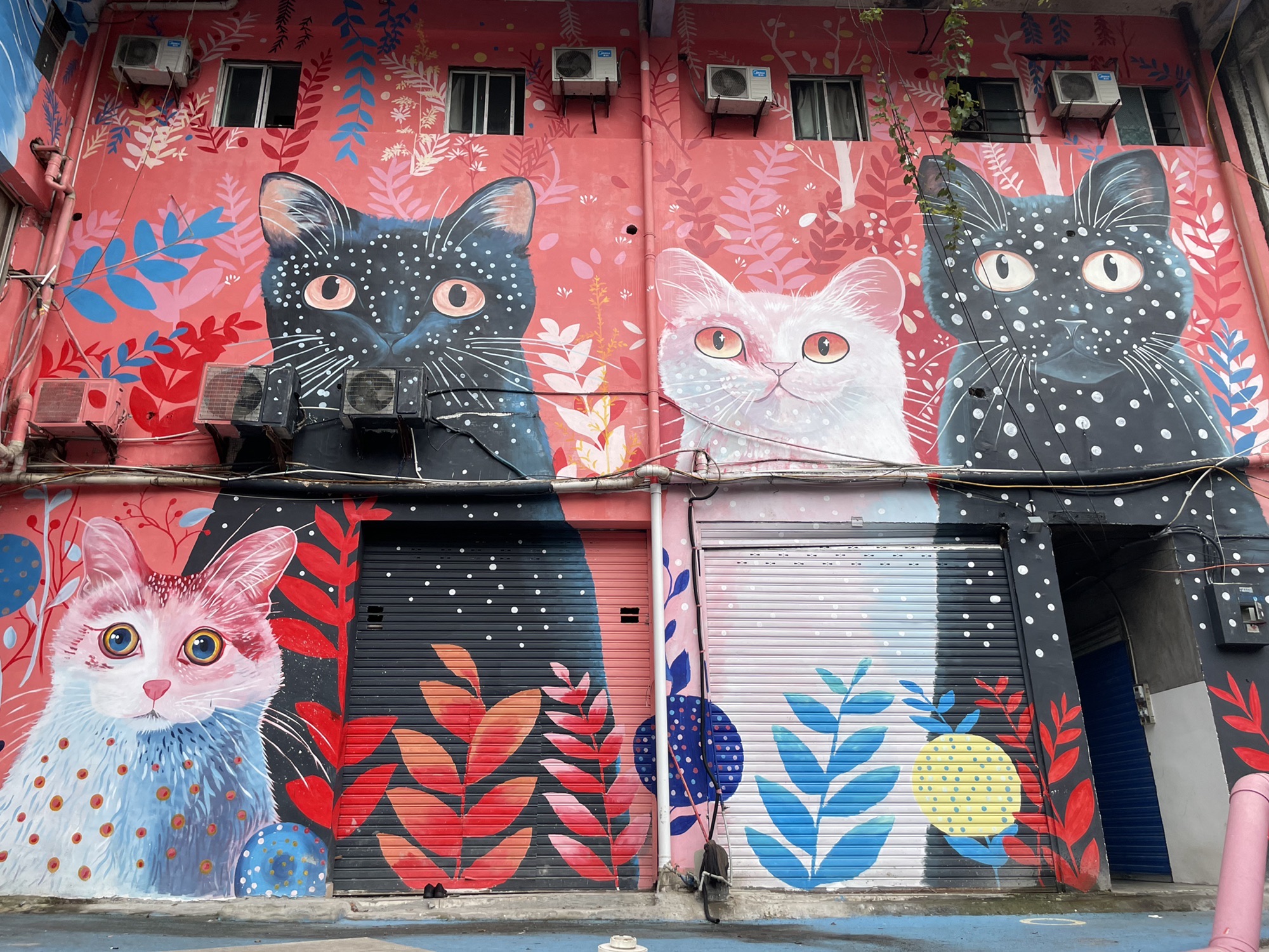 自贡涂鸦街猫猫巷旅行图片 2