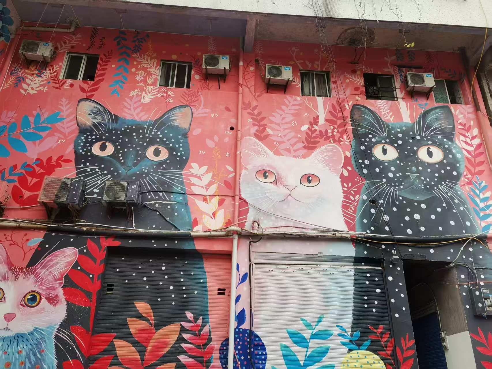 自贡涂鸦街猫猫巷旅行图片 1
