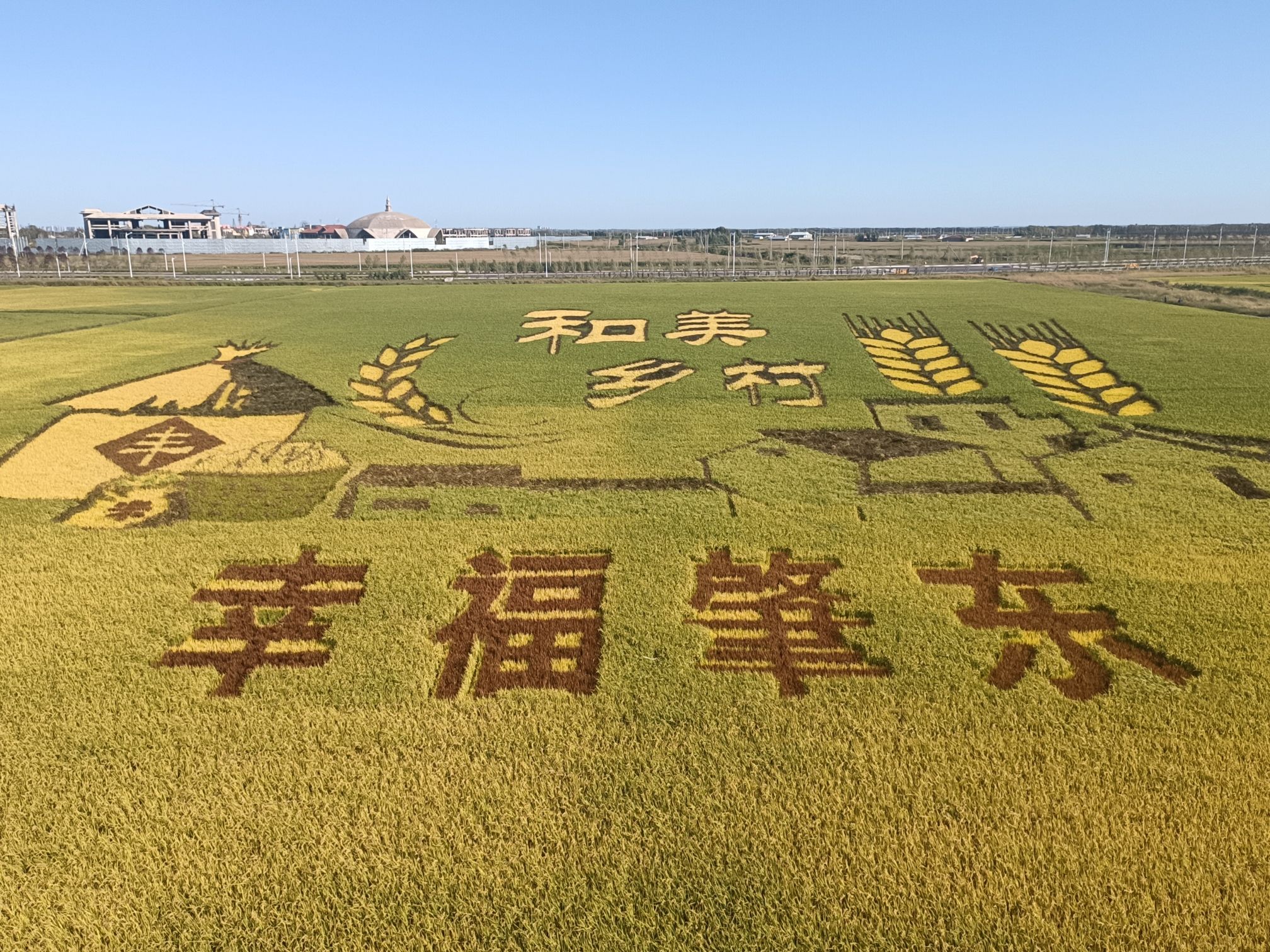 肇东市稻田公园