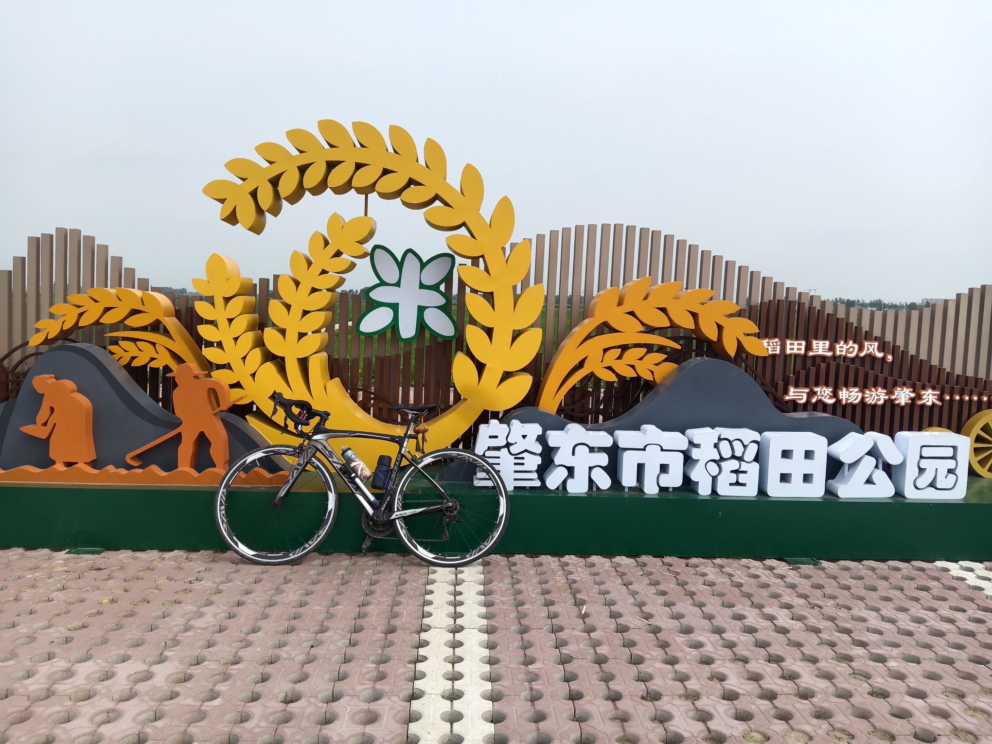 肇东市稻田公园