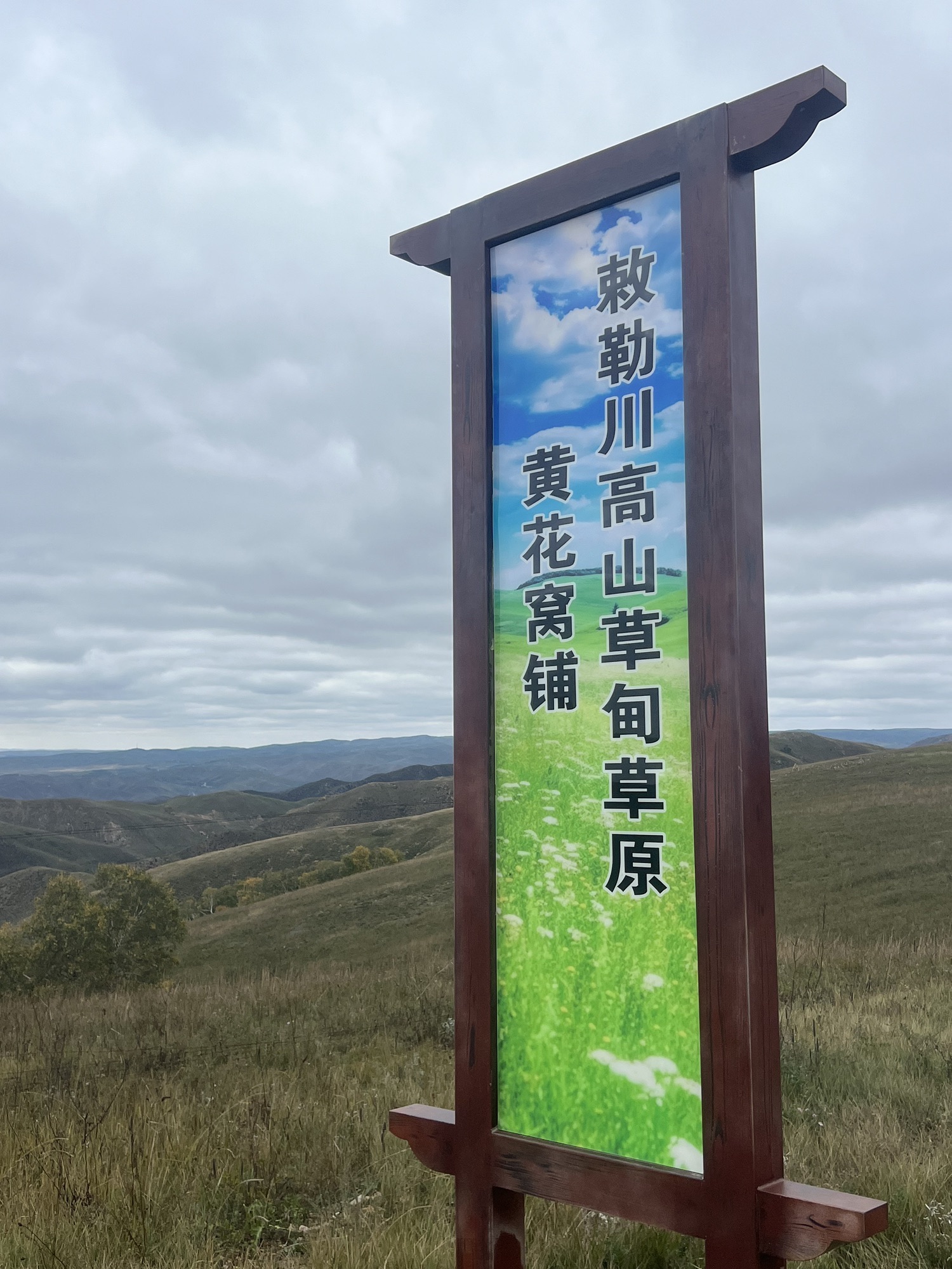敕勒川高山草原(暂停开放)旅行图片 3