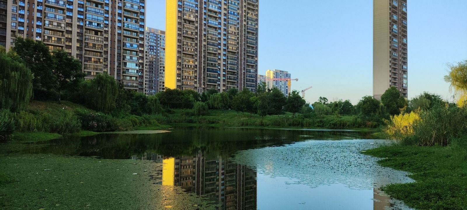 云玺苑湖湿地旅行图片 1