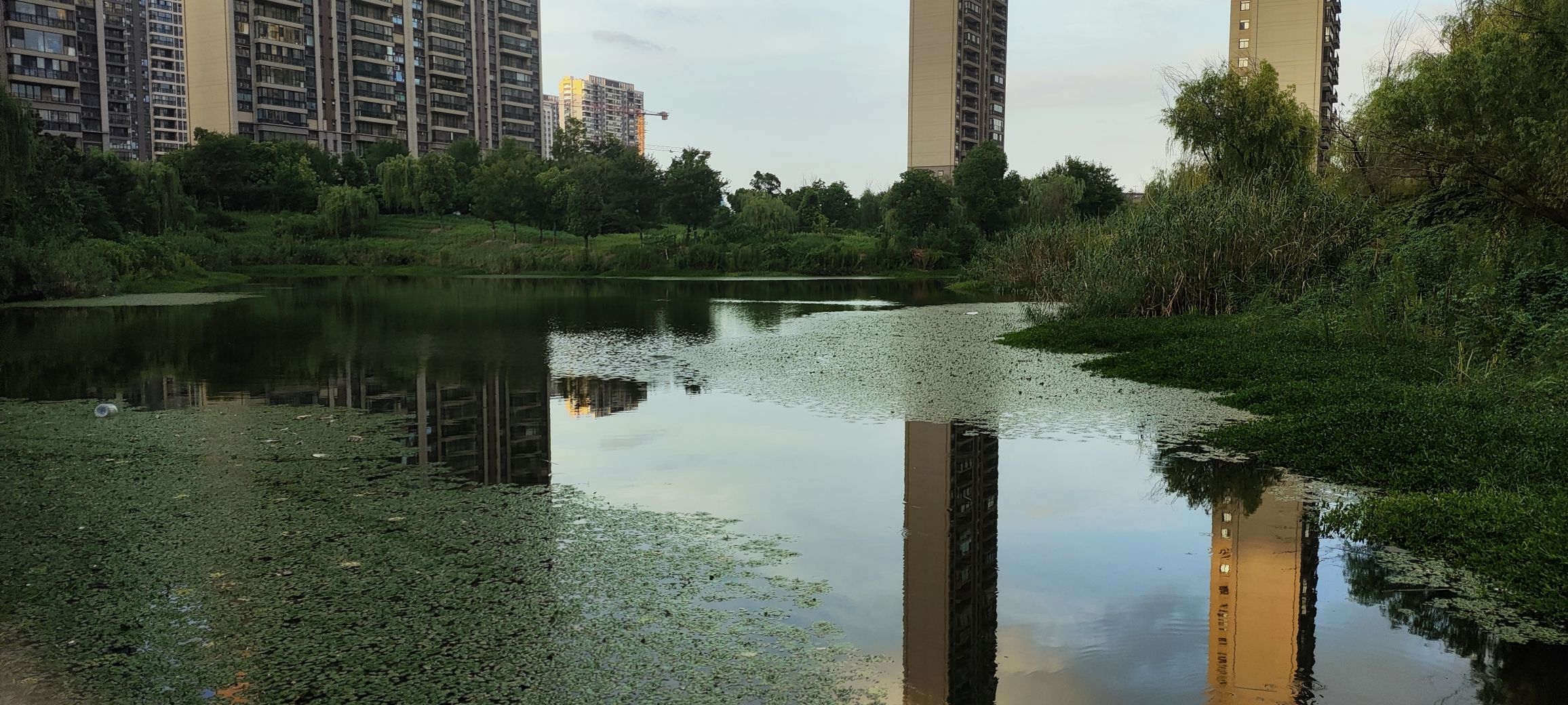 云玺苑湖湿地旅行图片 2