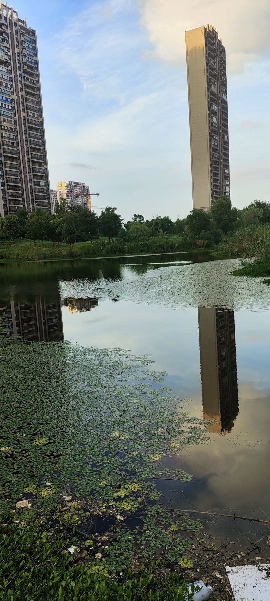 云玺苑湖湿地旅行图片 1