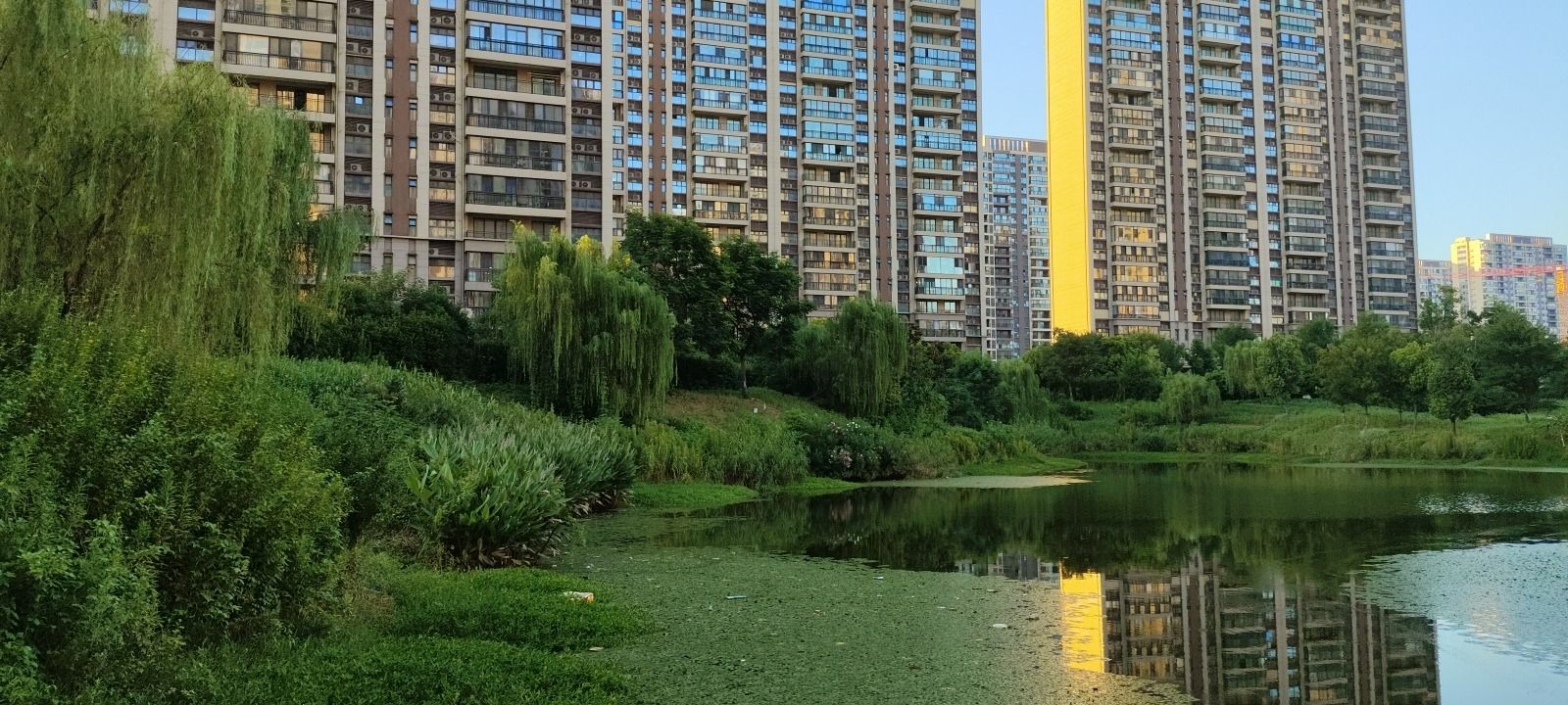 云玺苑湖湿地旅行图片 3