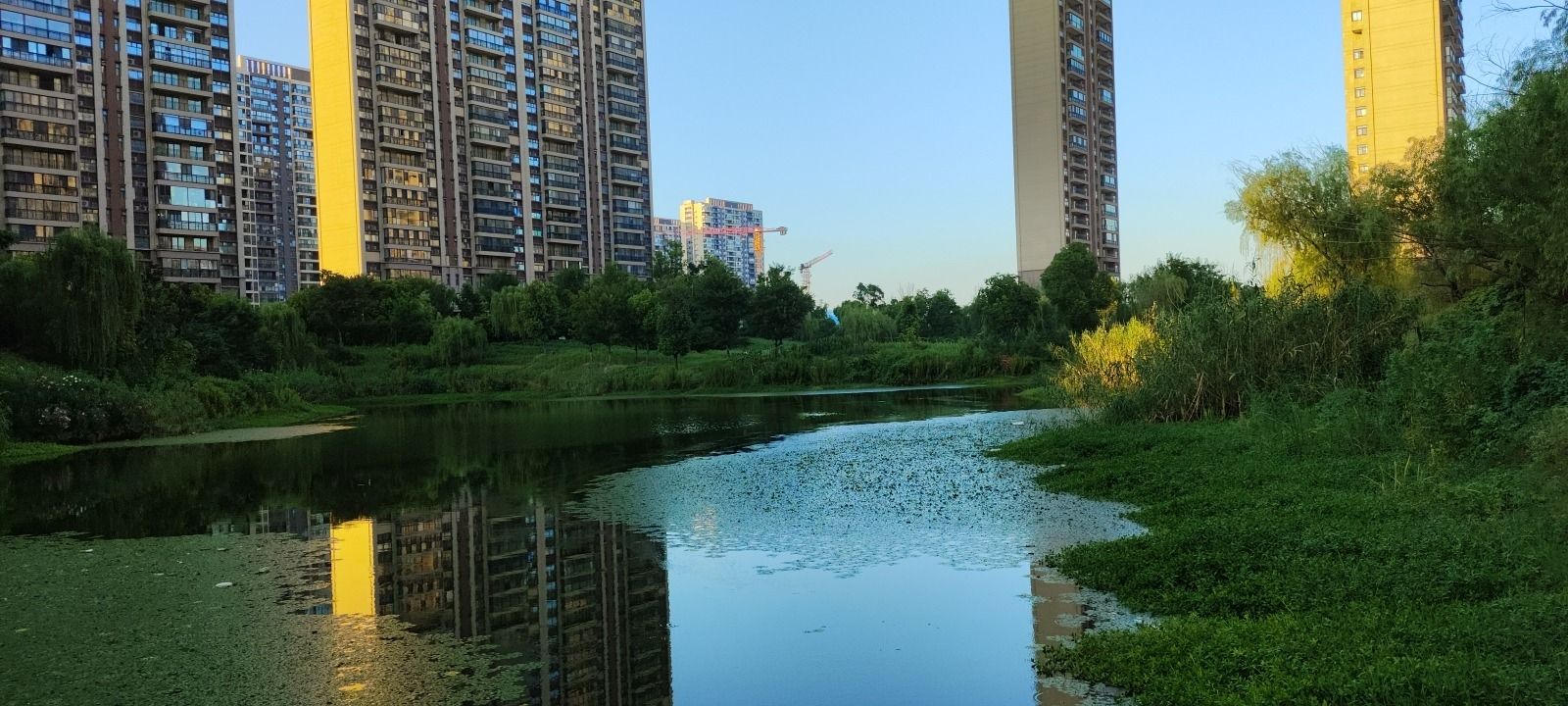云玺苑湖湿地旅行图片 2