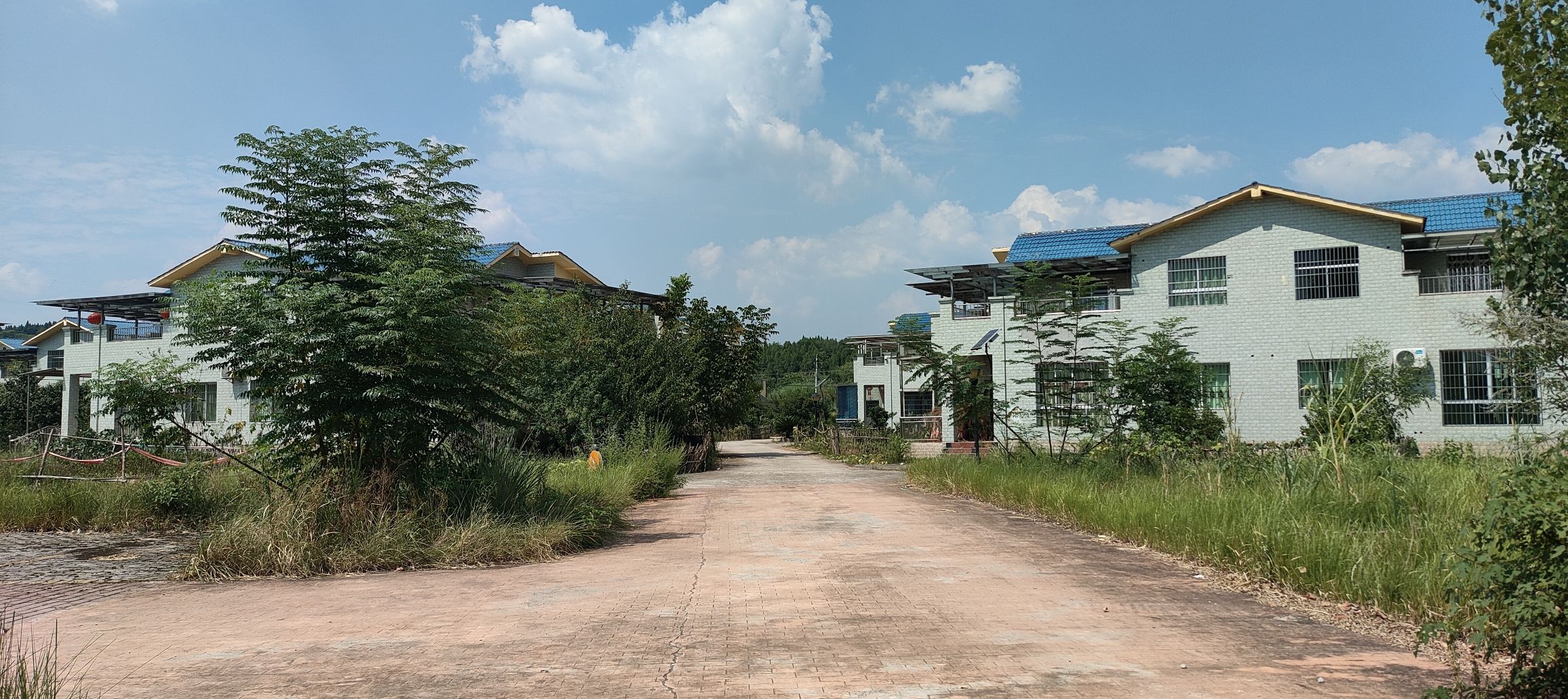醉美橙香景区旅行图片 1