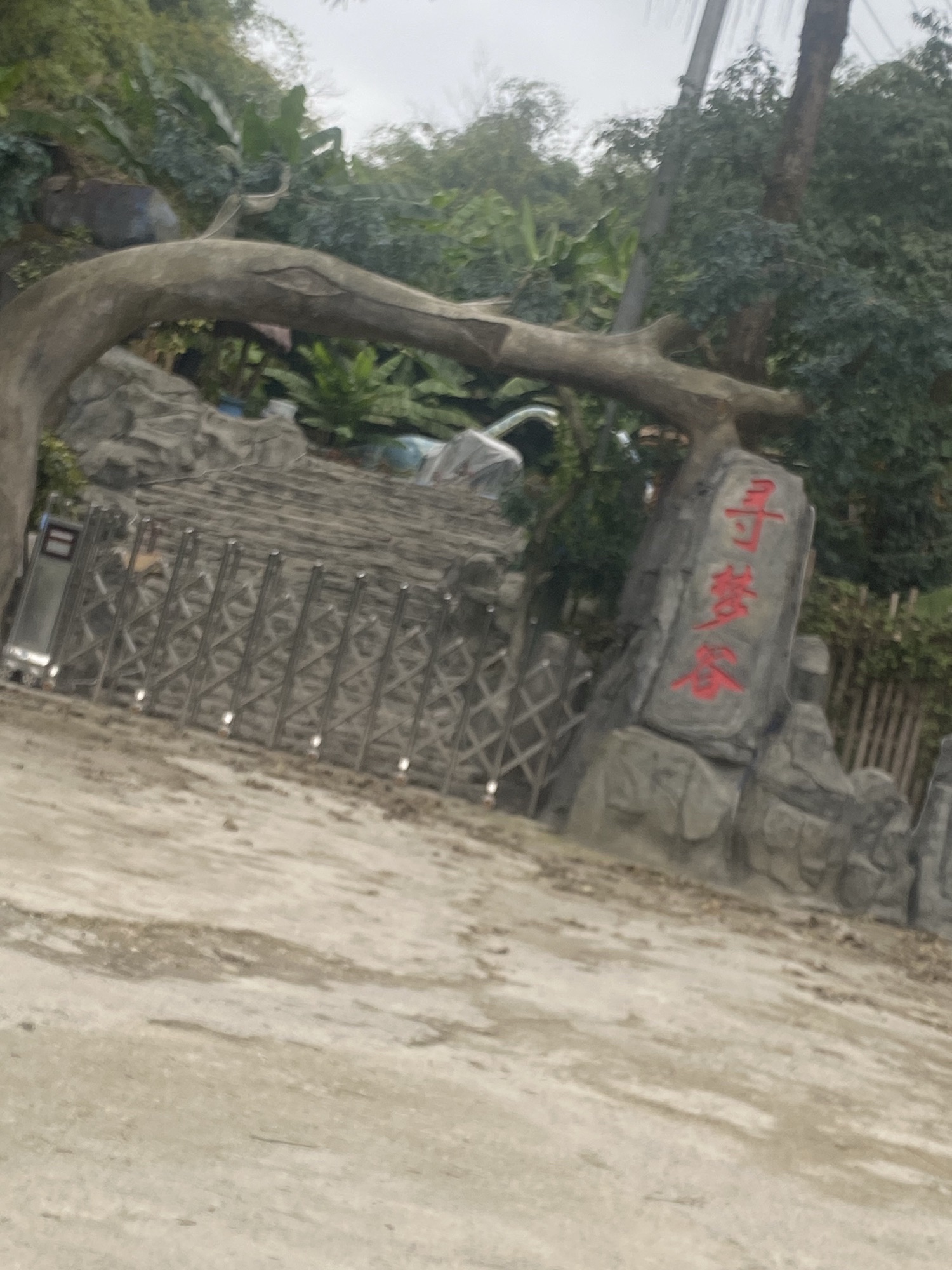 寻梦谷旅行图片