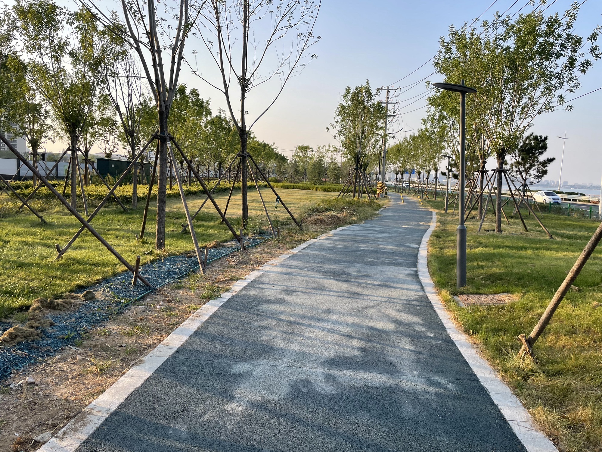 青小园红岛湾公园旅行图片 2