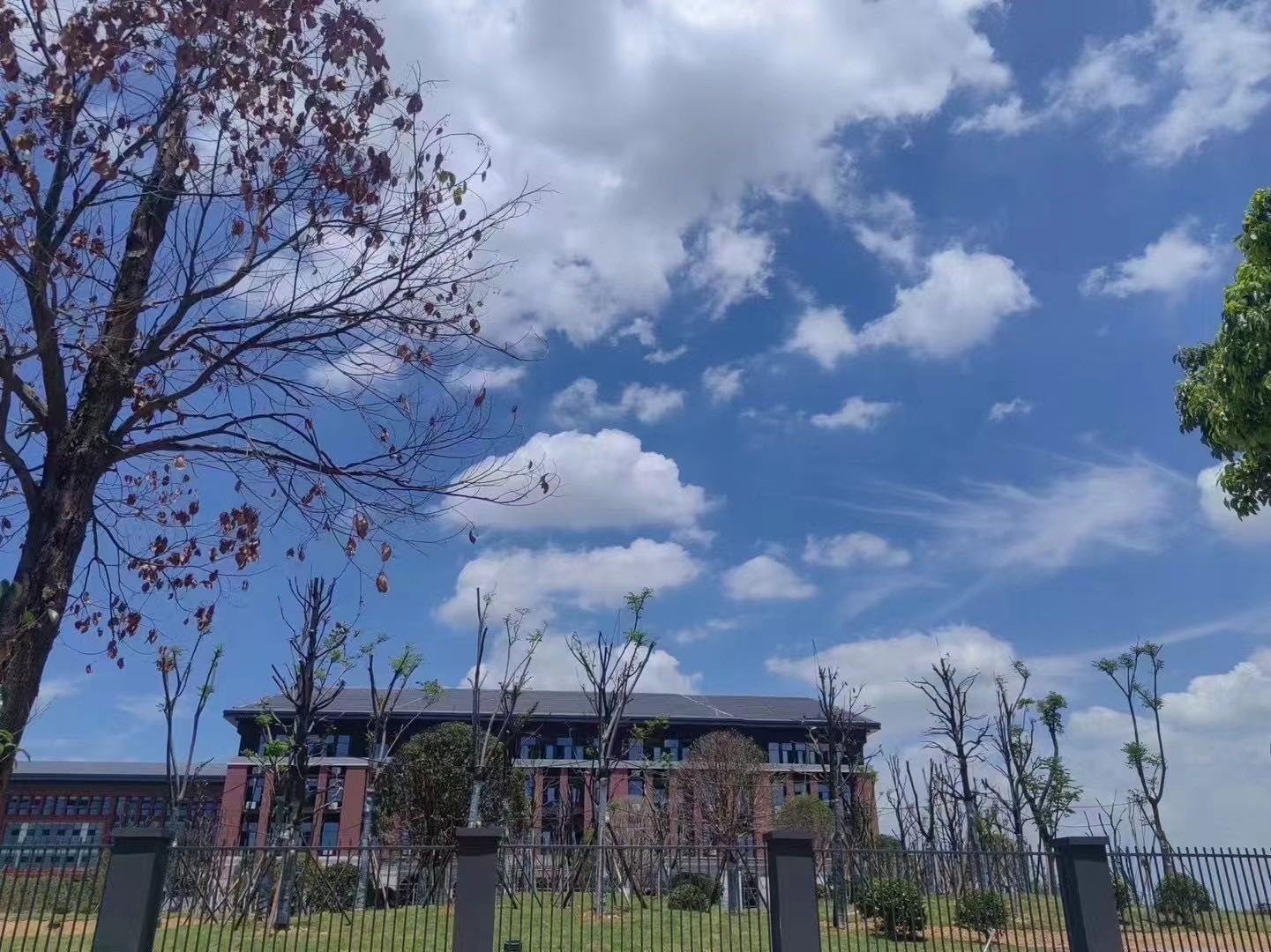 岳阳现代服务职业学院