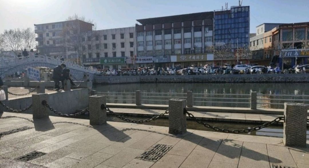 遮山森林公园旅行图片