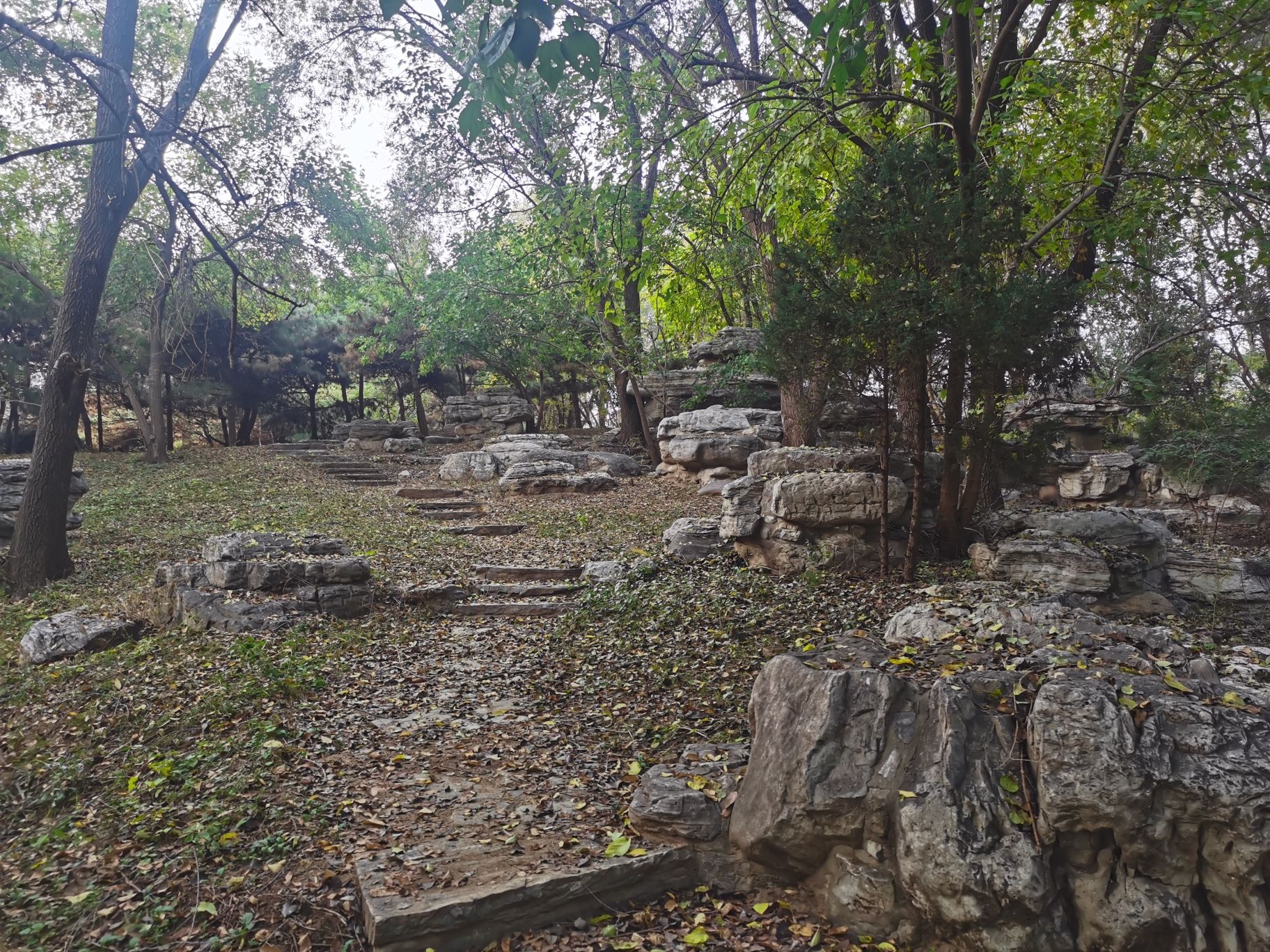 世纪巾帼林旅行图片 3