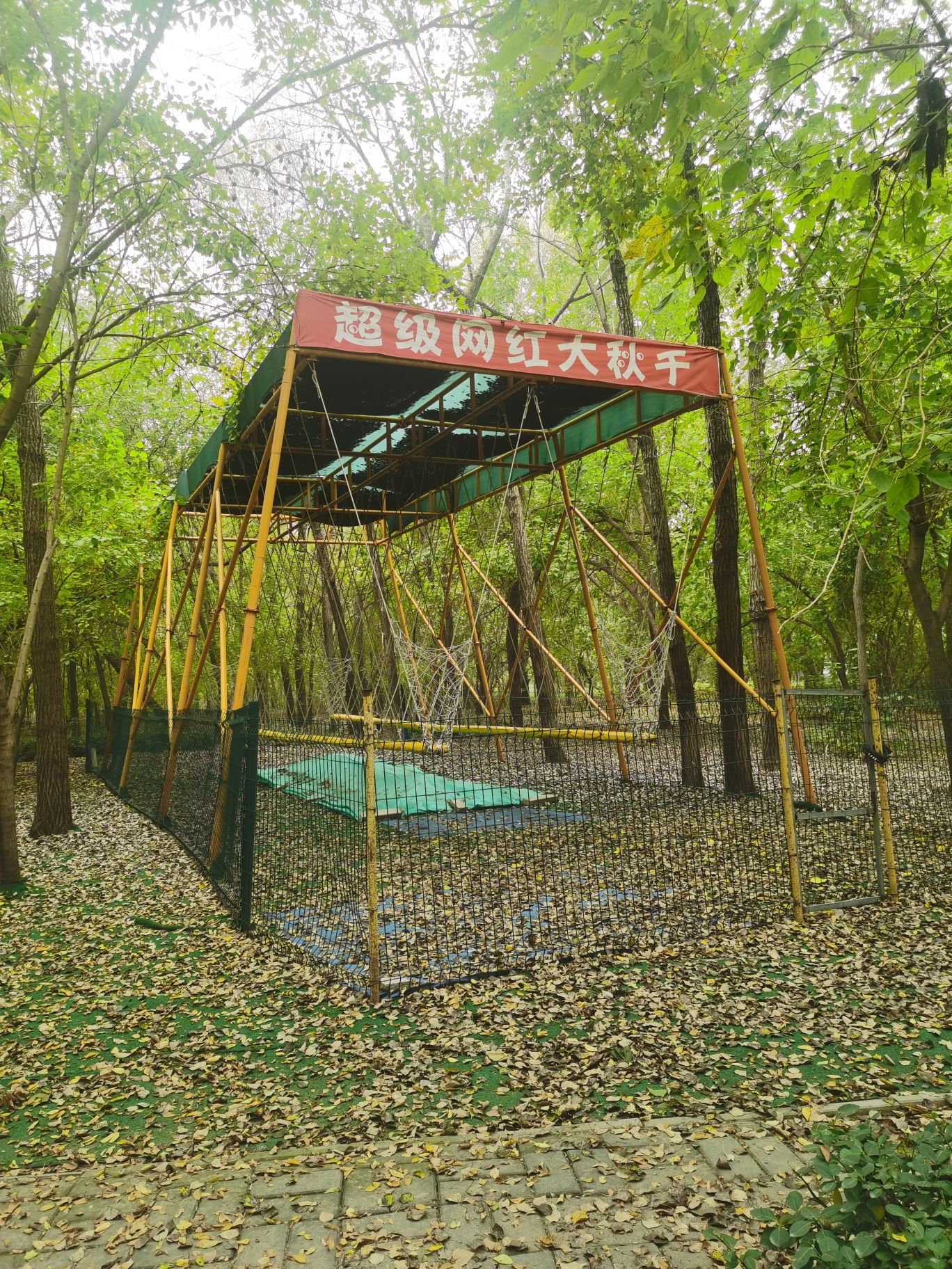 世纪八一林旅行图片 3