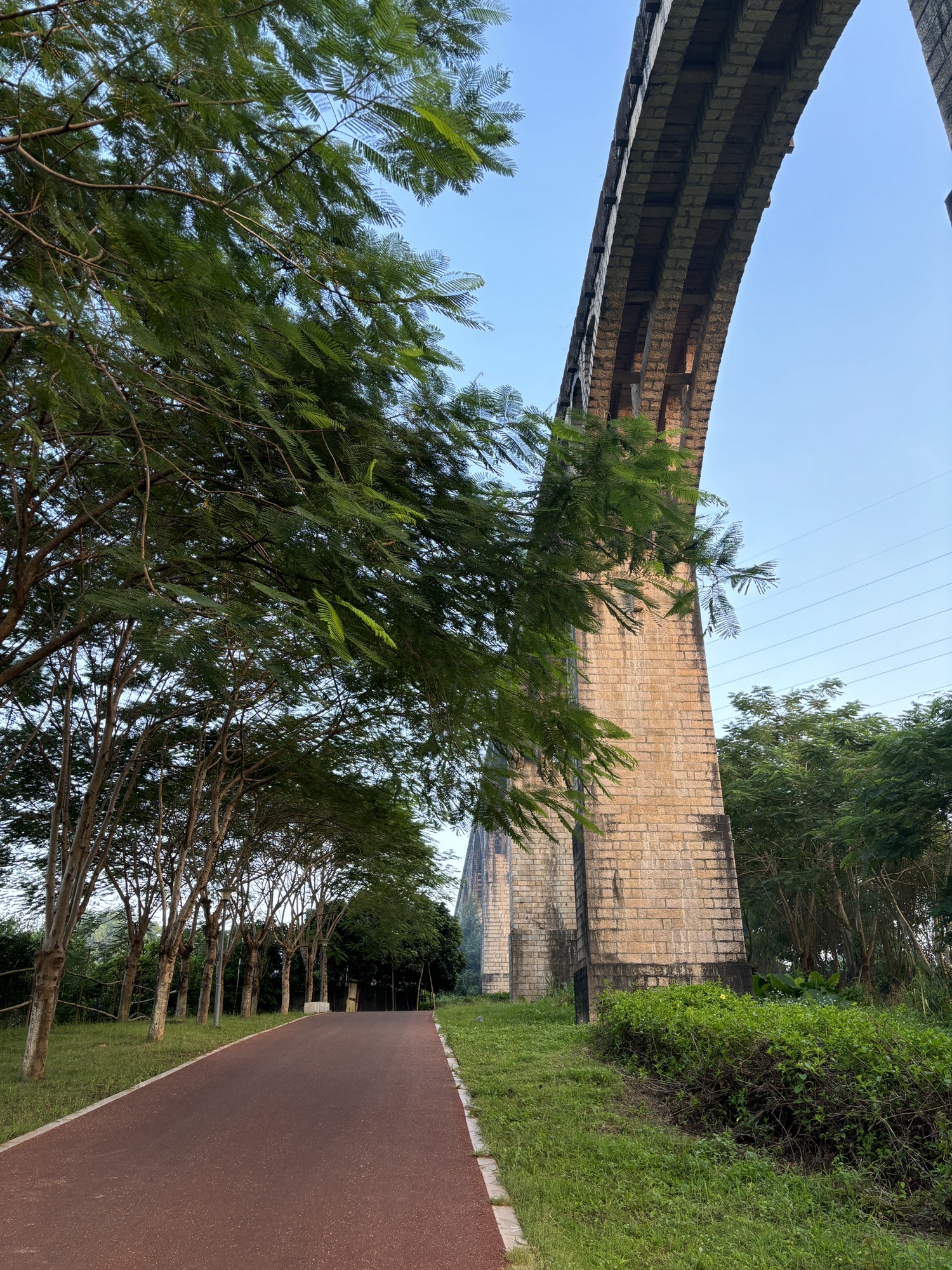 西湖公园旅行图片 2