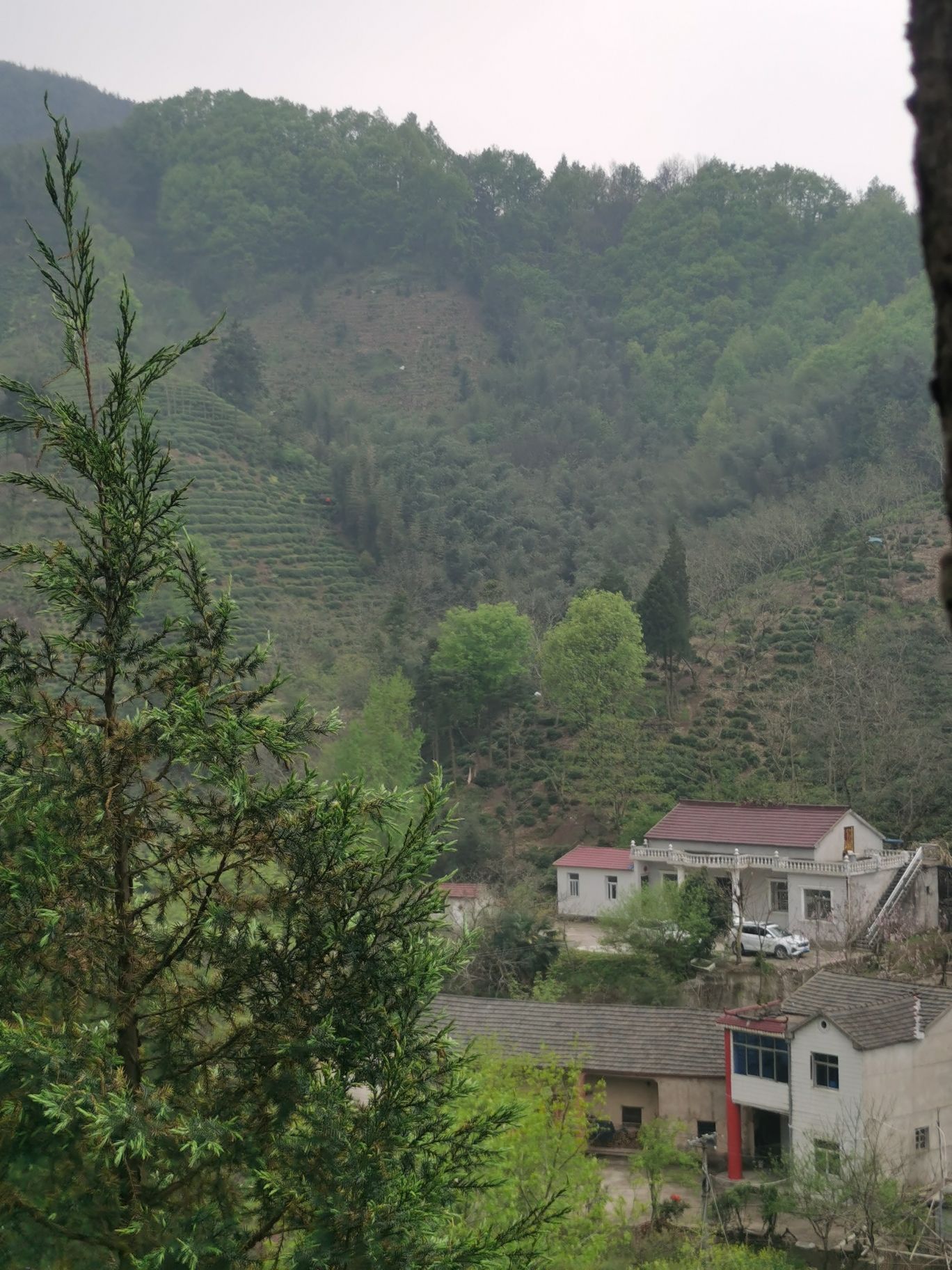 觉林寺实景照片