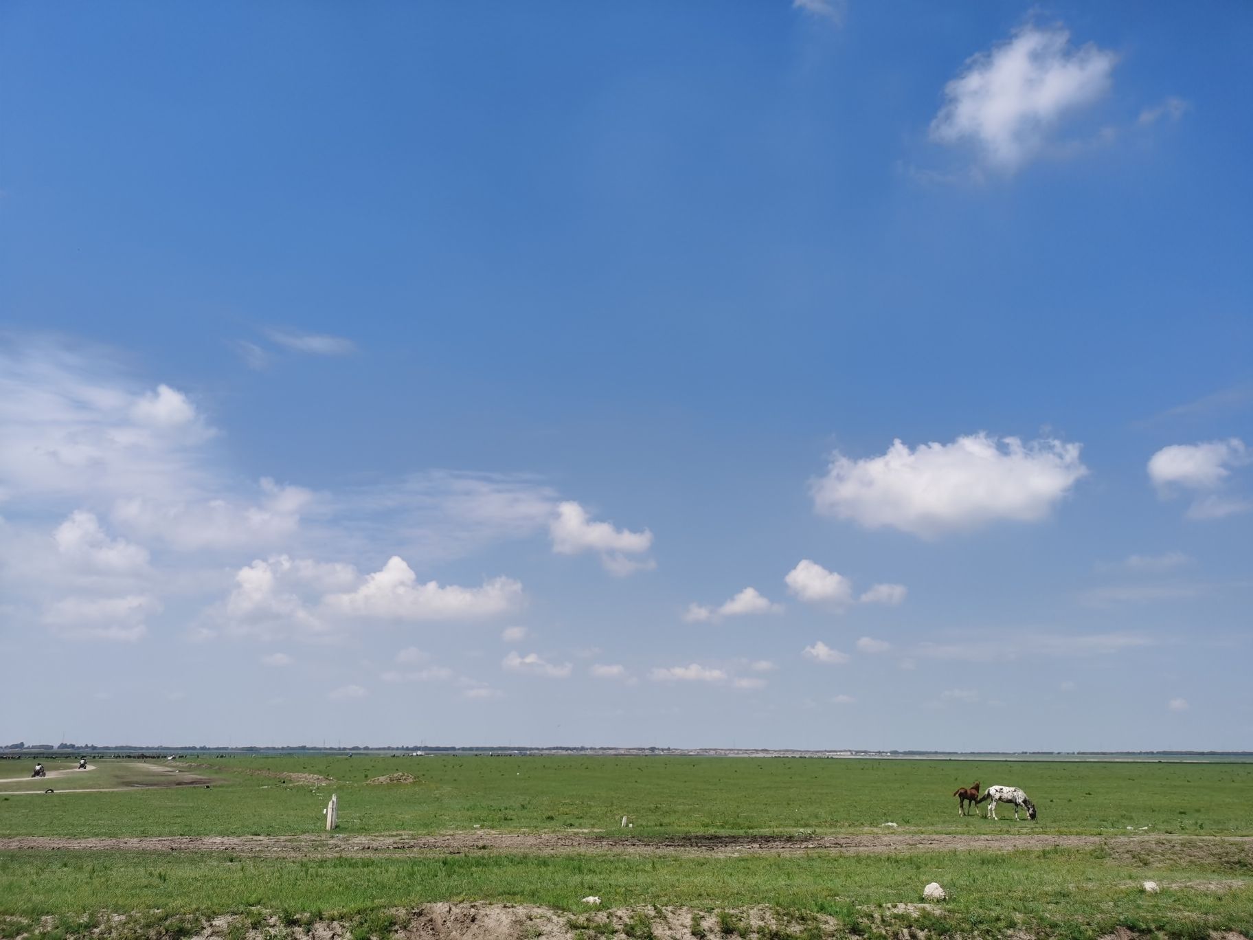 河北张北汉诺坝省级地质公园旅行图片 2