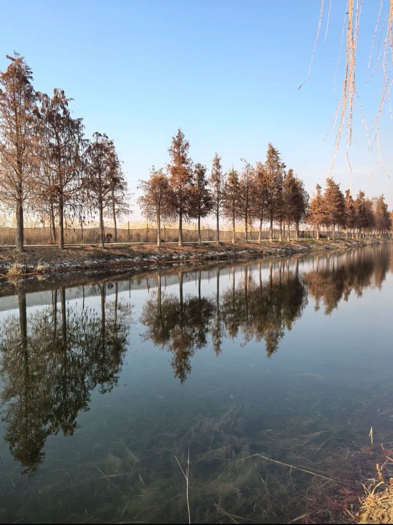 高邮湖旅行图片 1