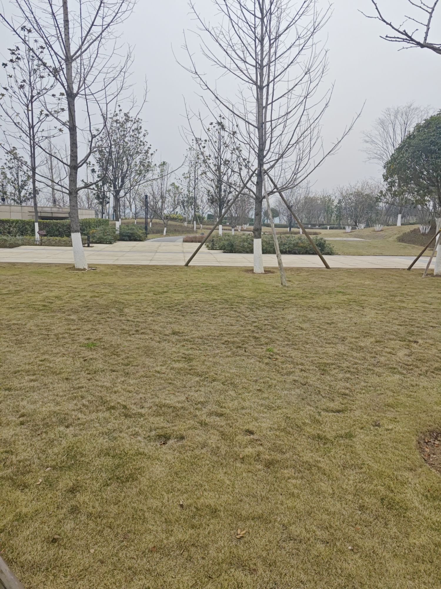 科学城白鹭公园城市广场旅行图片 1