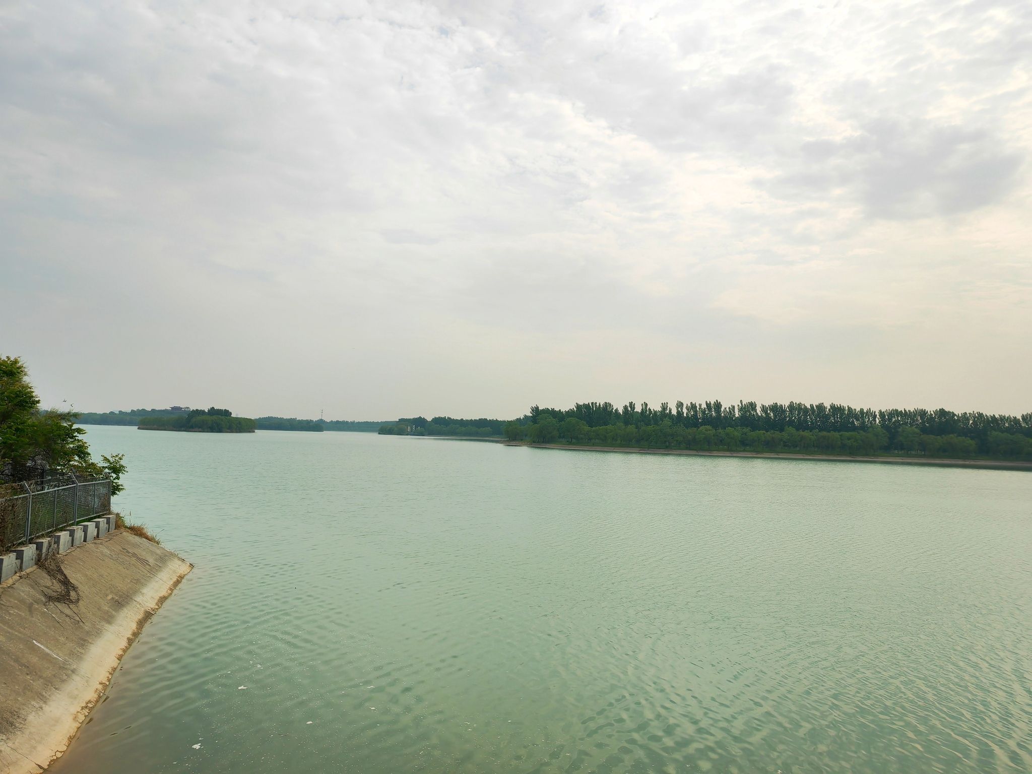 滨城区沉沙池(南海路北)旅行图片 1