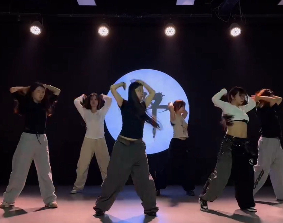 场地封面-WILD.X DANCE野生舞限