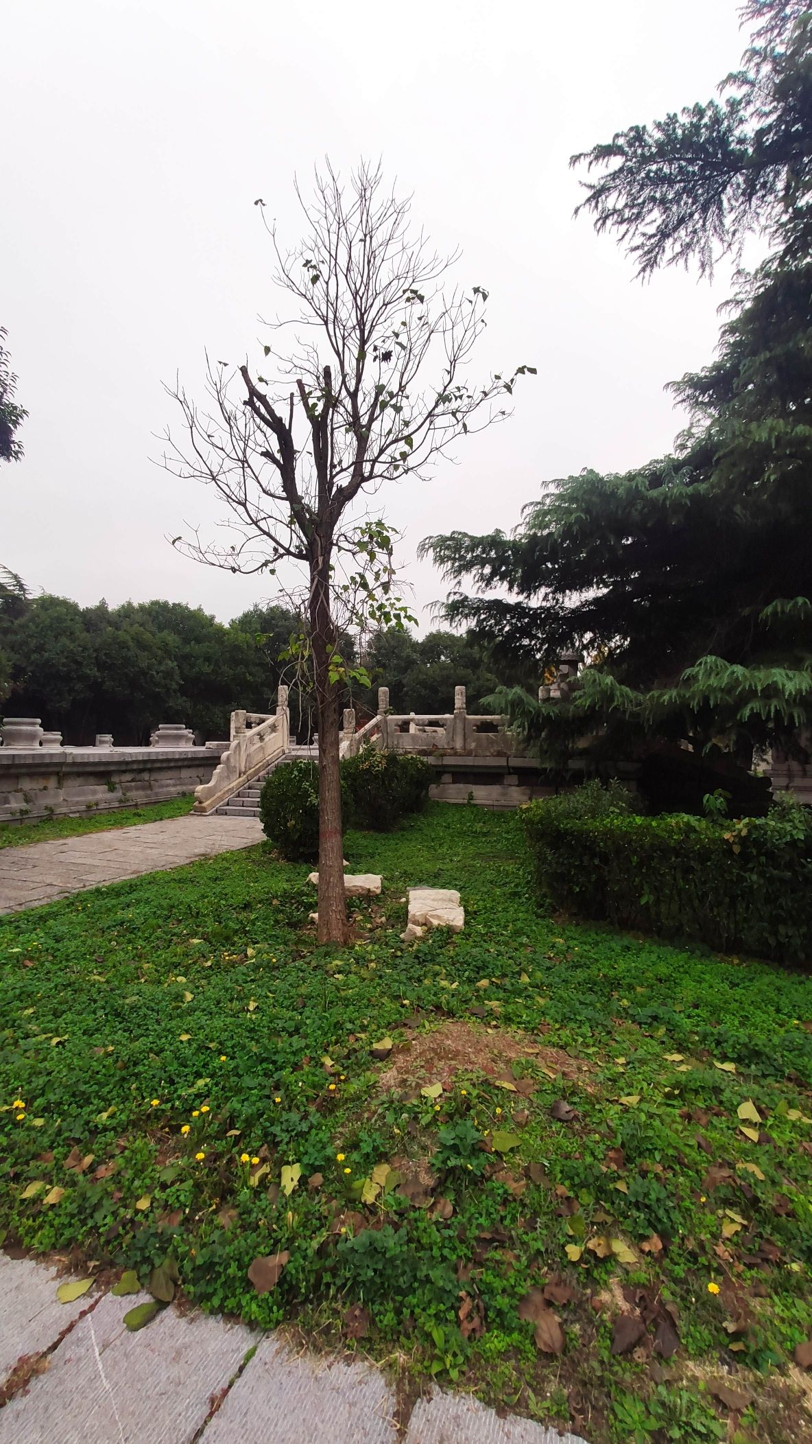 太子祭碑旅行图片 3