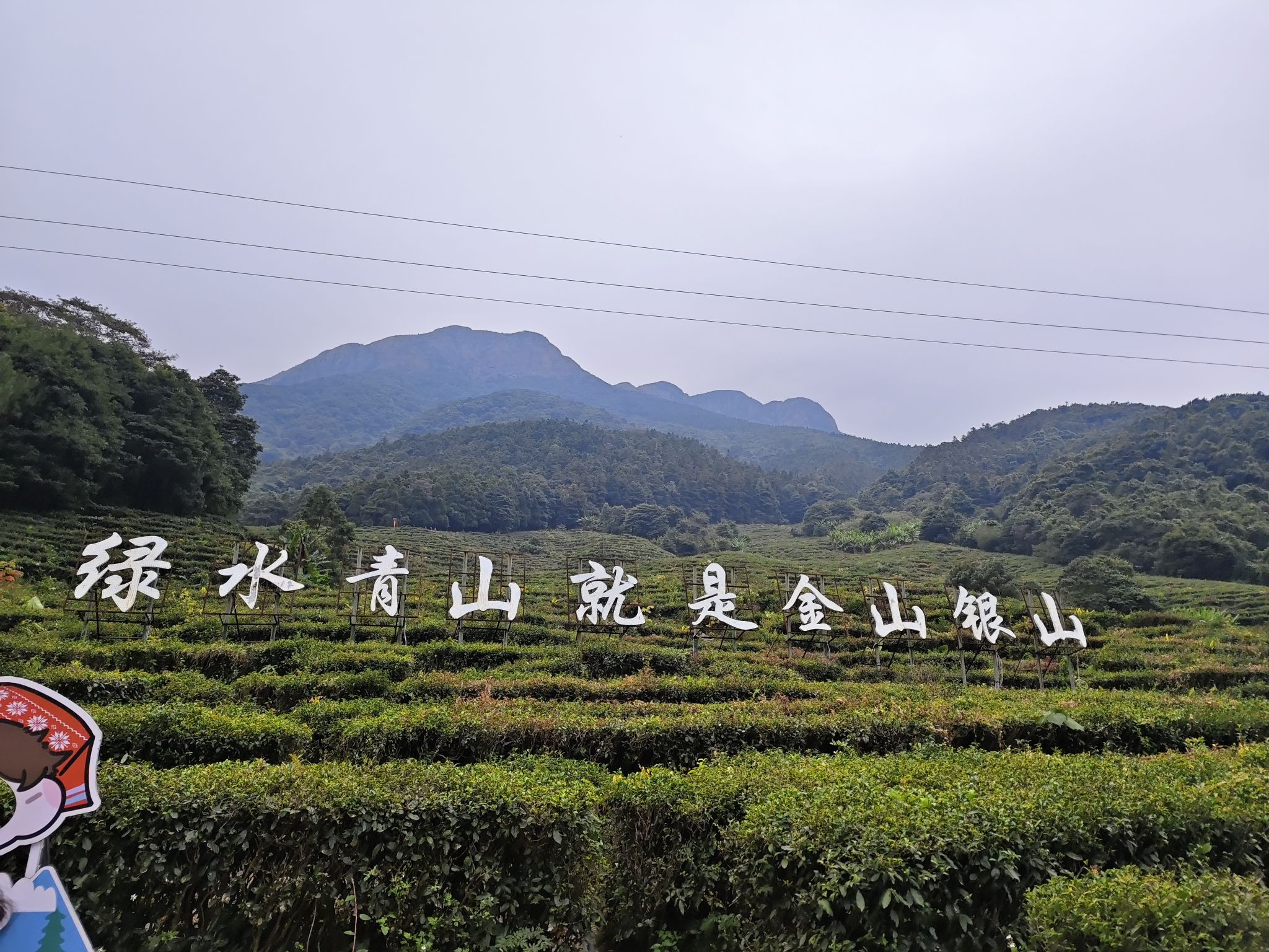 高山草甸旅行图片 1