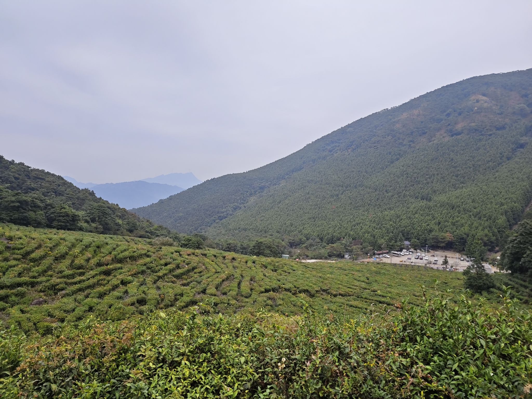 高山草甸旅行图片 2