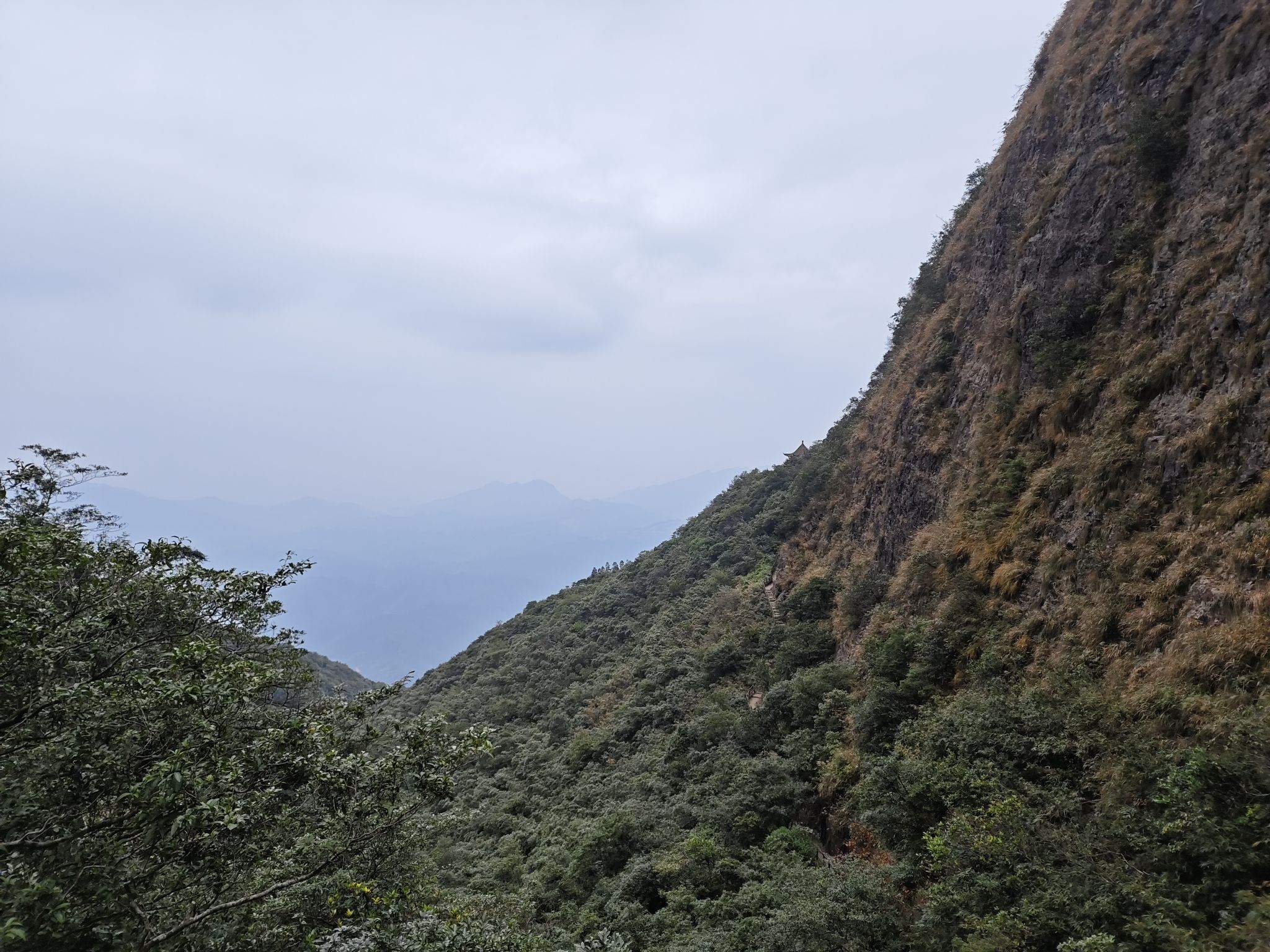 高山草甸旅行图片 3