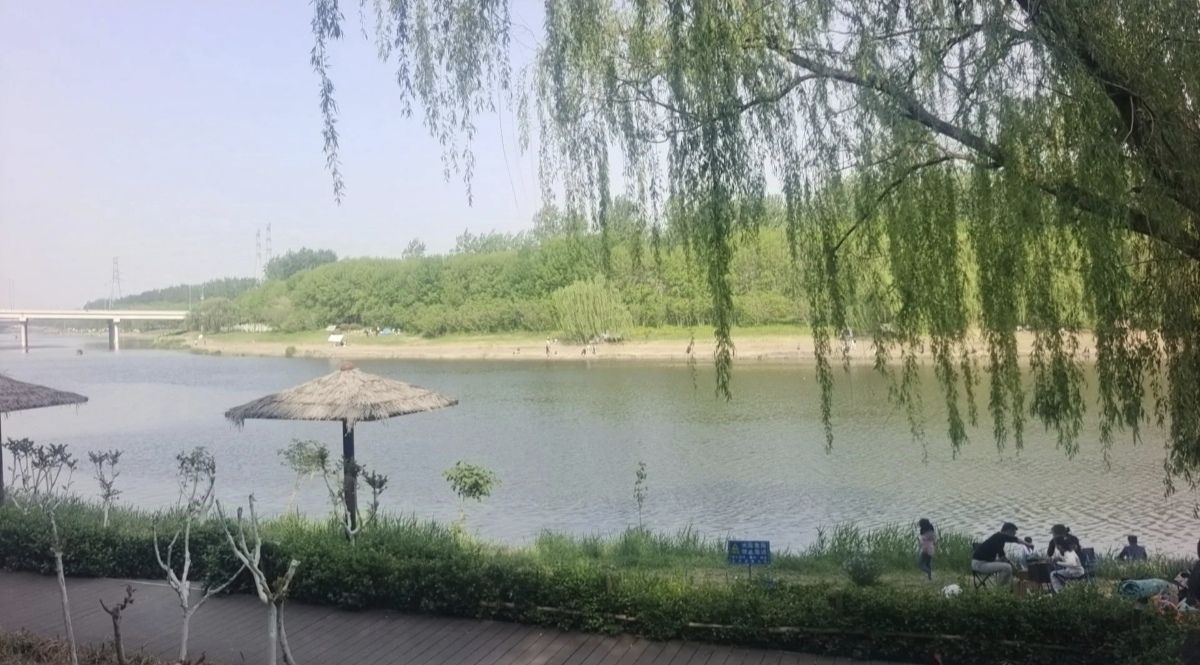 小清河源头湿地公园旅行图片 1