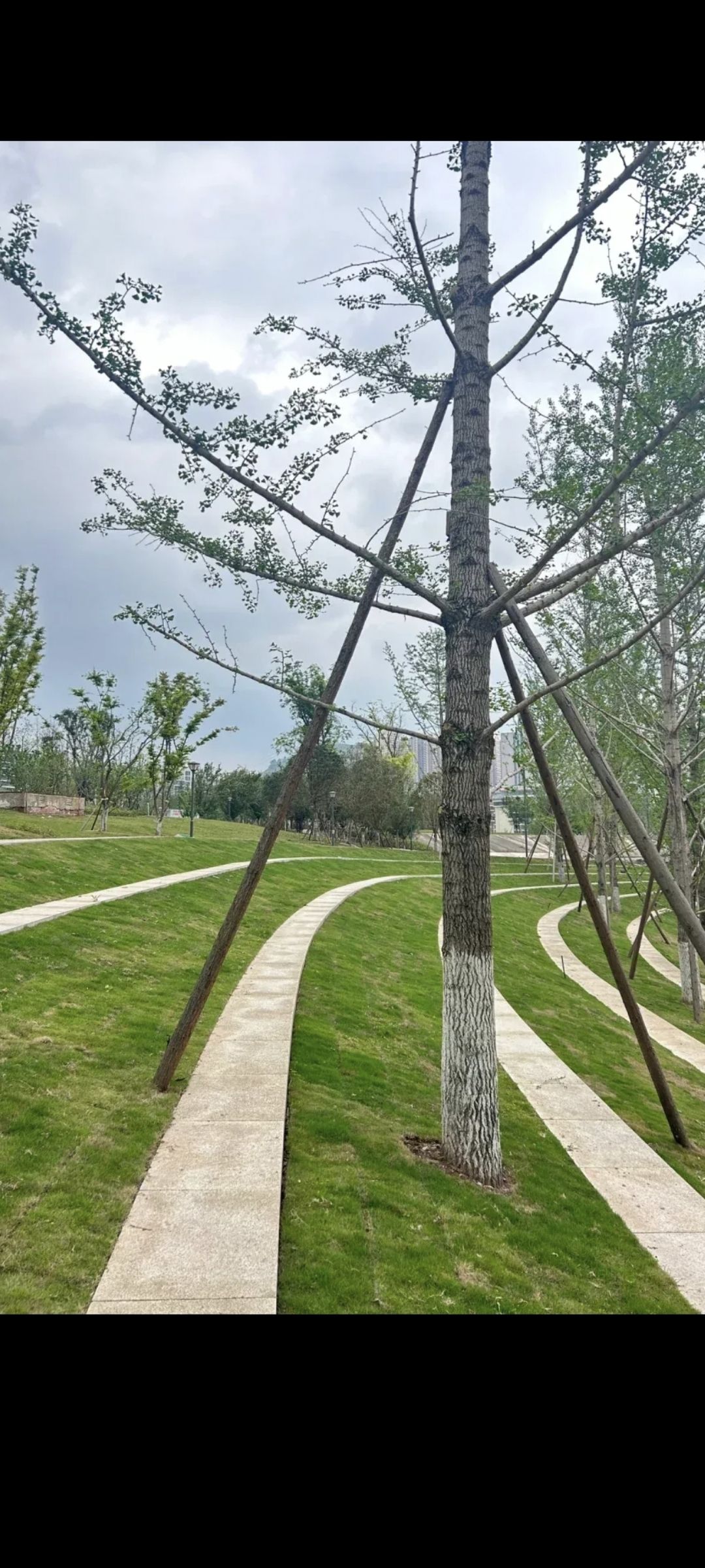 花石公园旅行图片 1